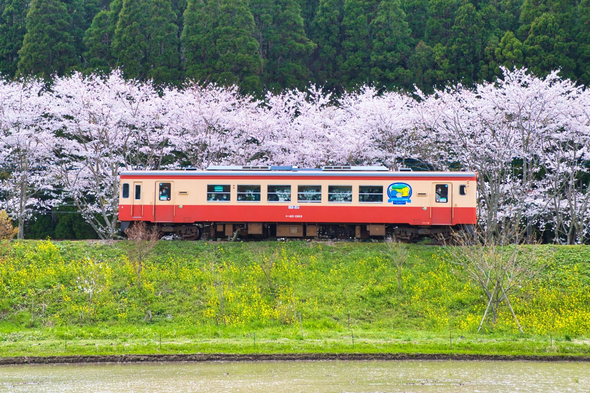 いすみ鉄道沿線の田園風景