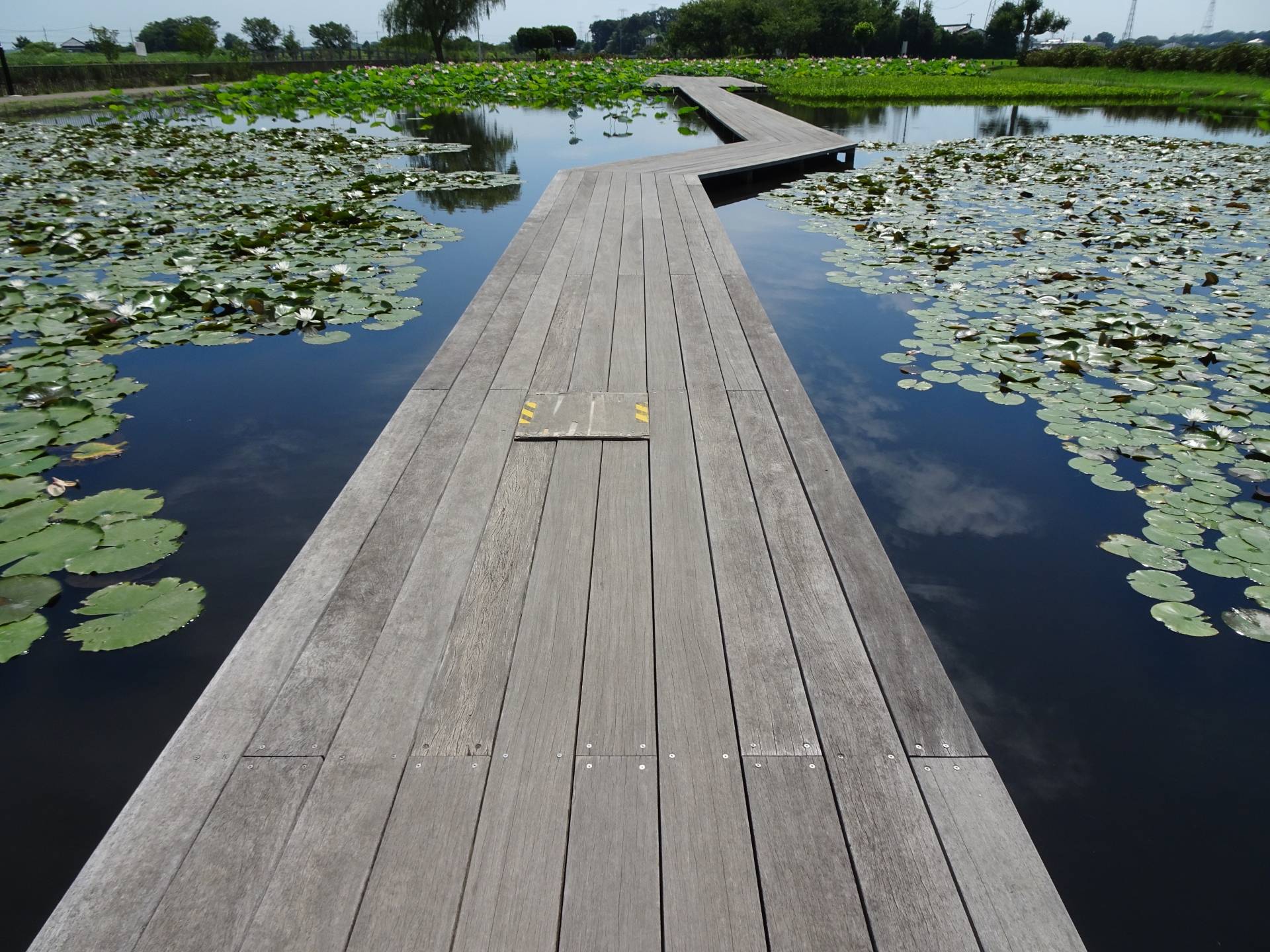 利根親水公園