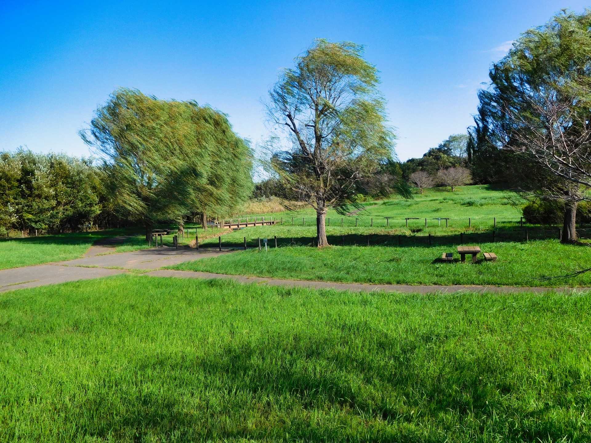守谷城址公園
