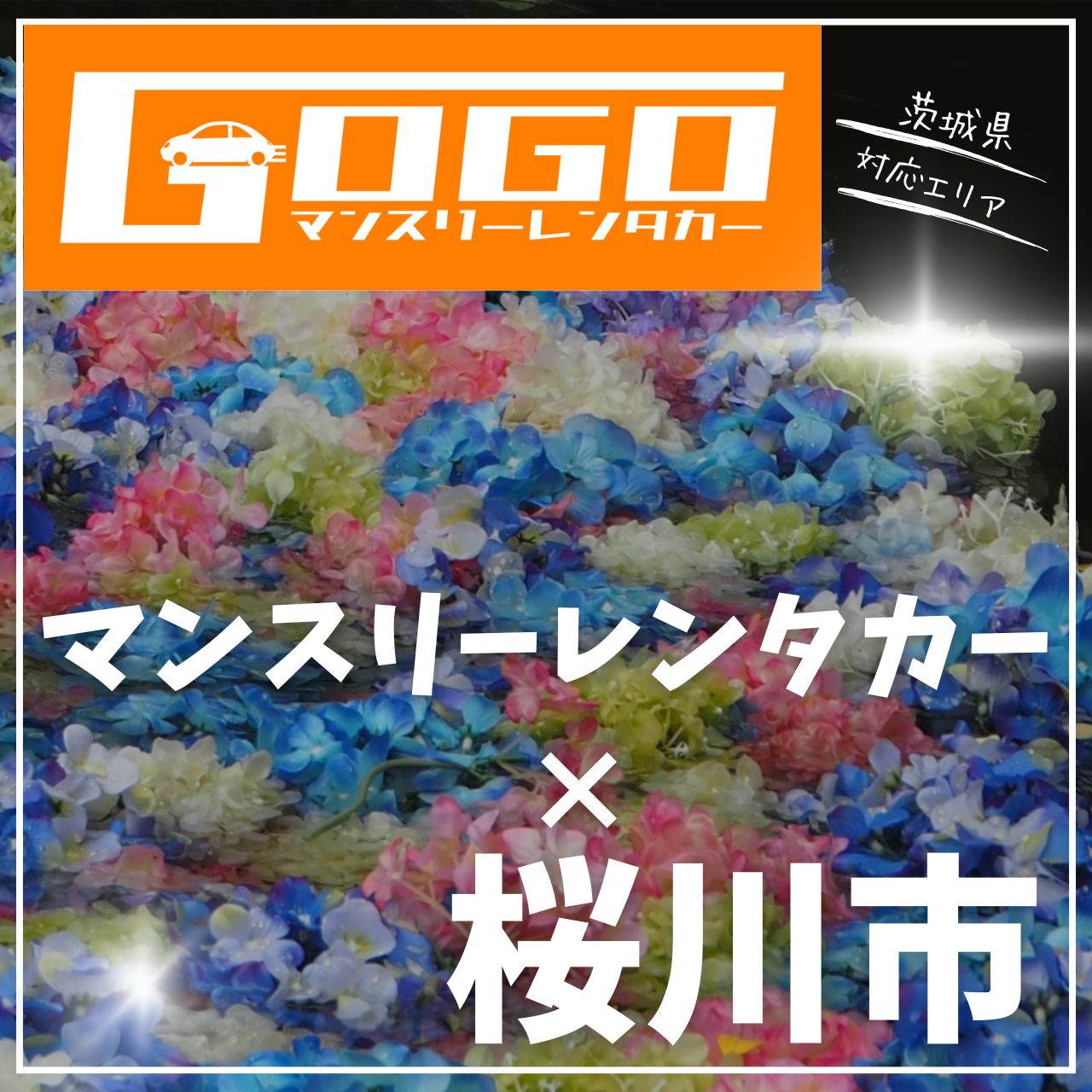 桜川市のマンスリーレンタカー