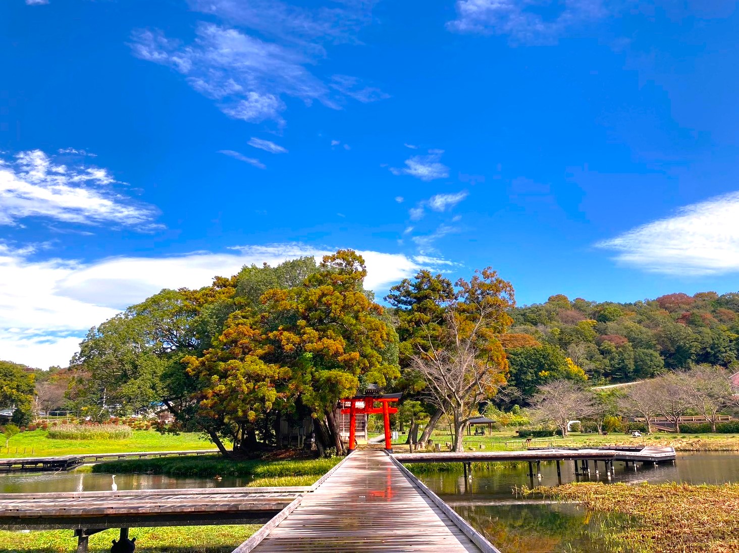 厳島湿生公園