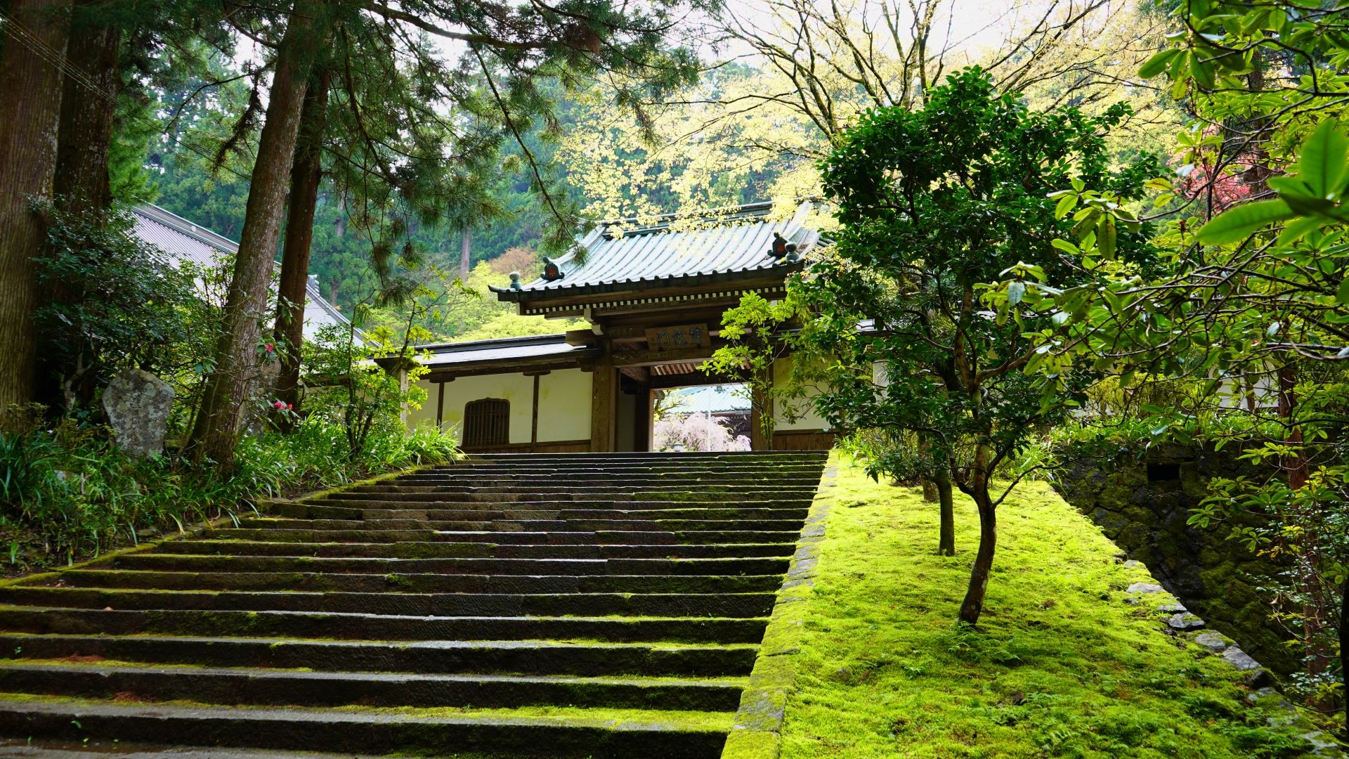 大雄山最乗寺