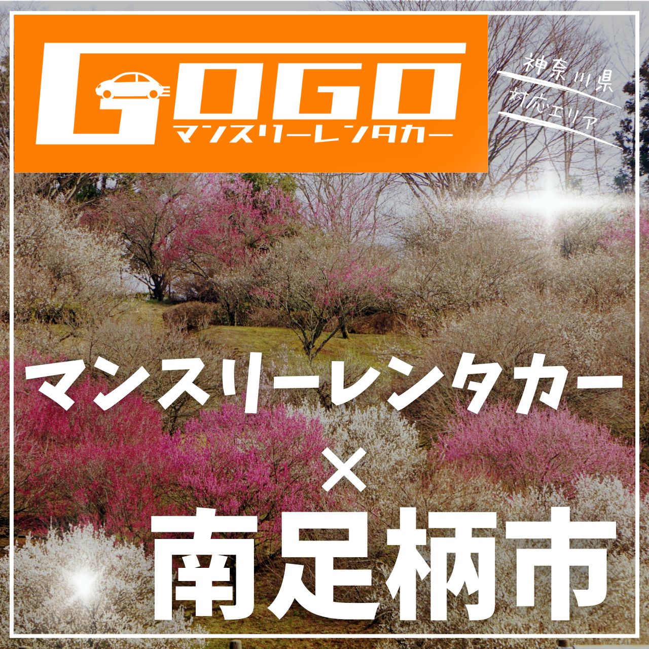 南足柄市のマンスリーレンタカー