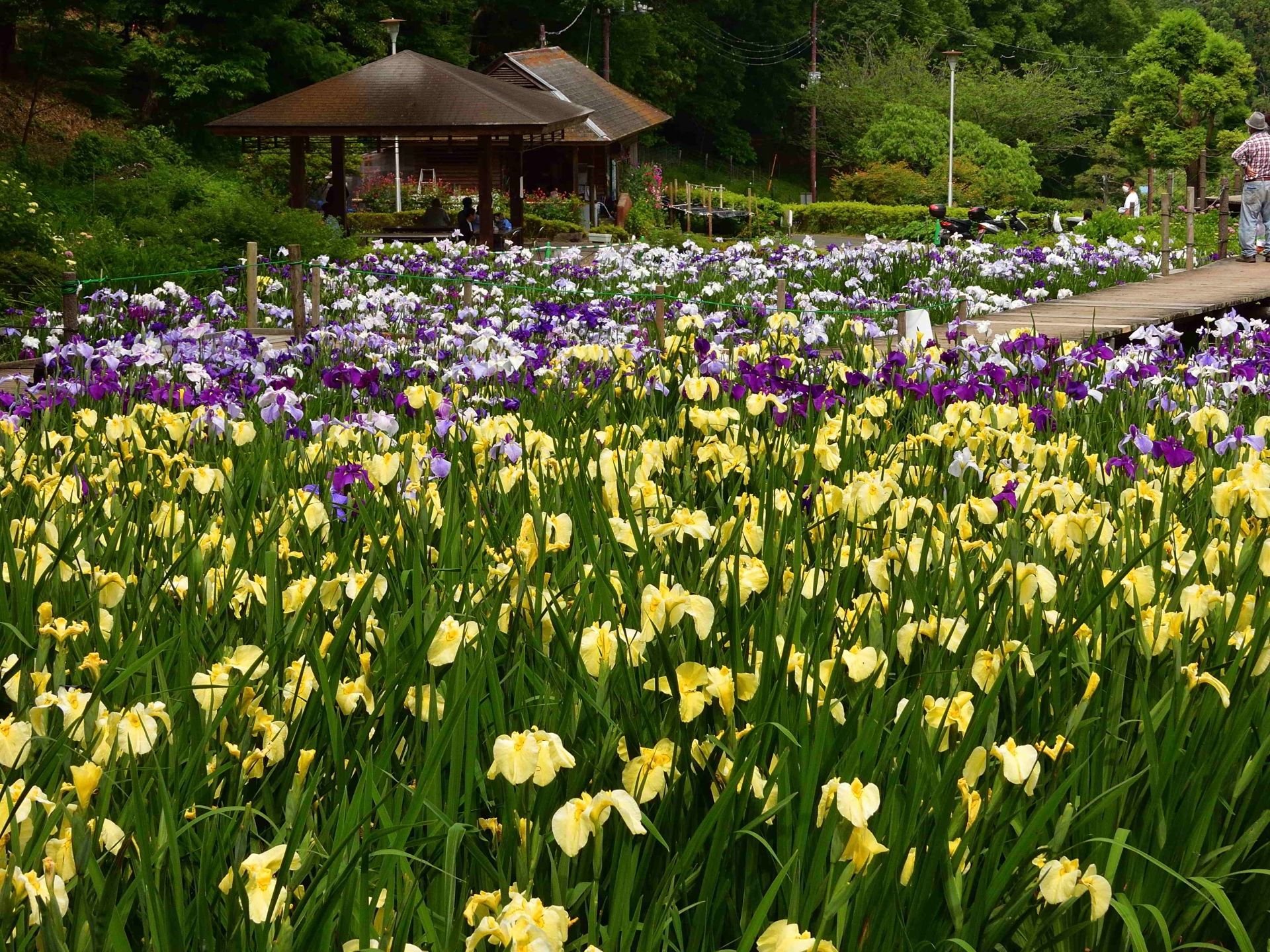 二宮せせらぎ公園
