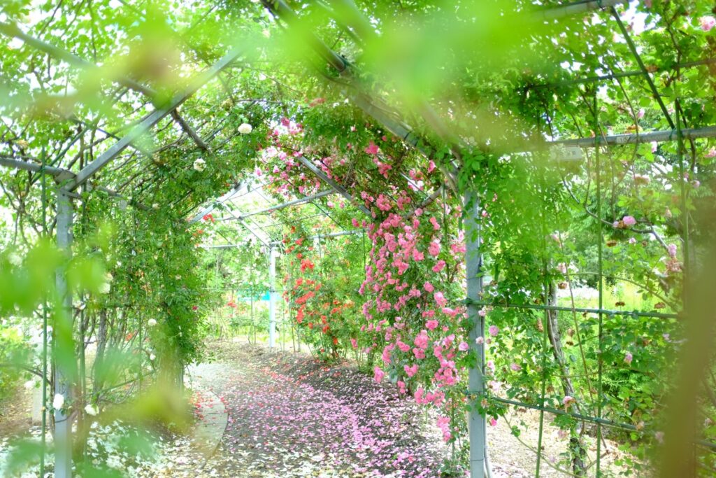平成の森公園