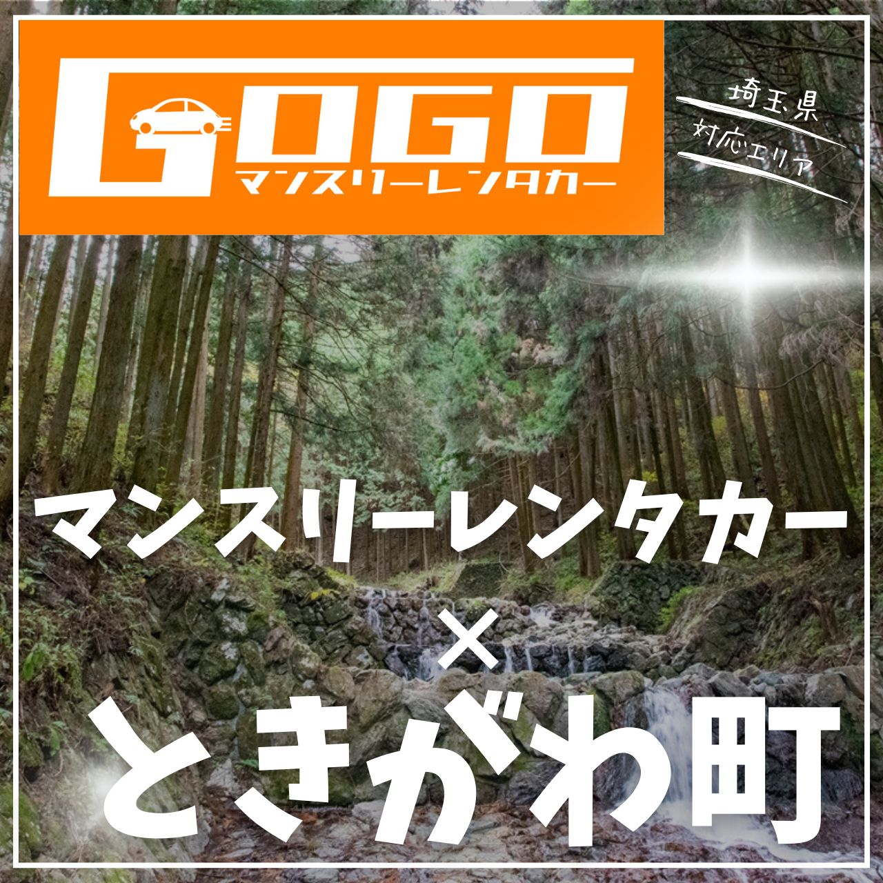 比企郡ときがわ町のマンスリーレンタカー