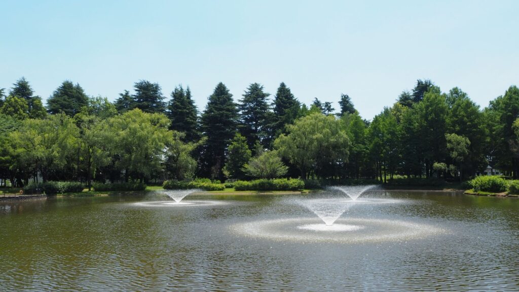 彩の森入間公園
