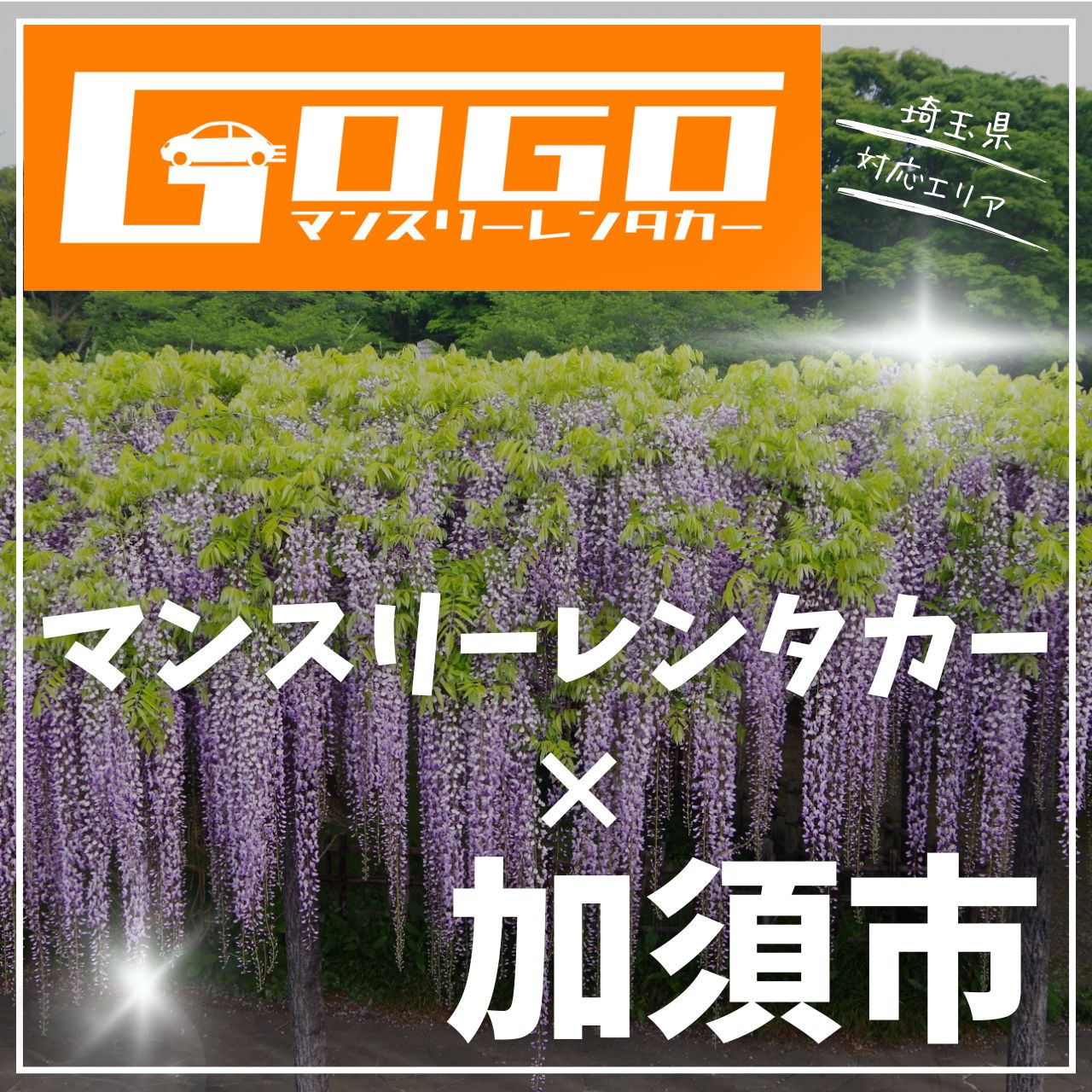 加須市のマンスリーレンタカー