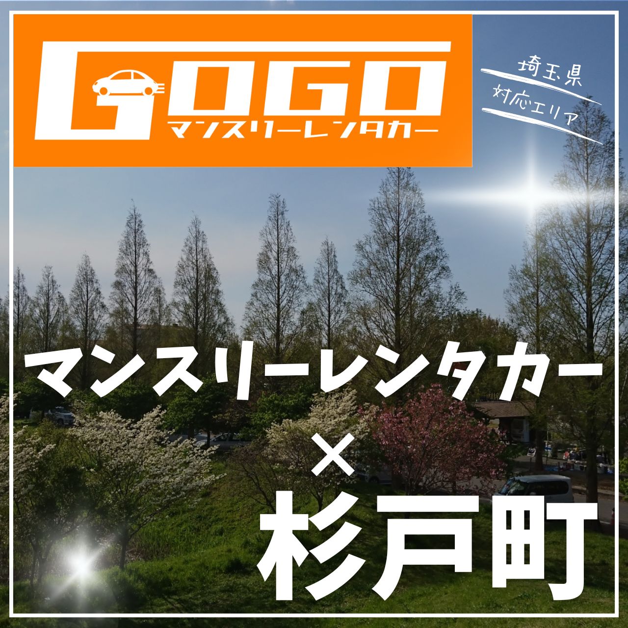 北葛飾郡杉戸町のマンスリーレンタカー