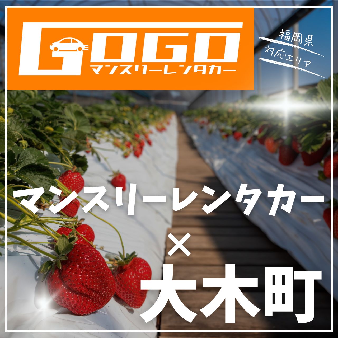 三潴郡大木町のマンスリーレンタカー