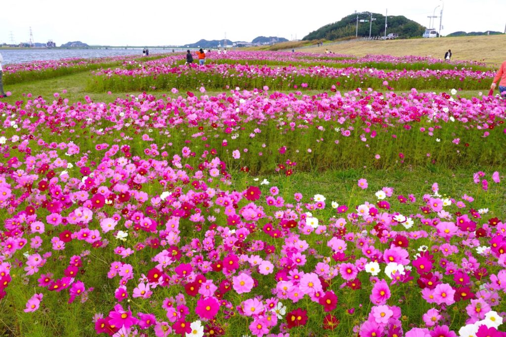 遠賀川河川敷公園