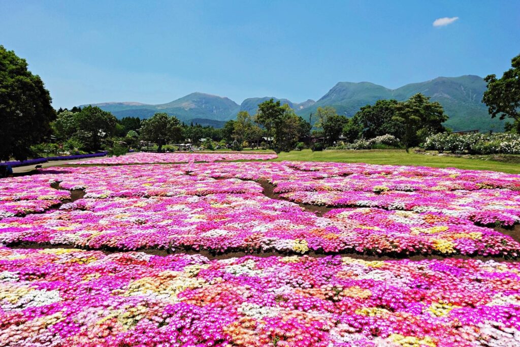 福岡ドライブスポット久住高原