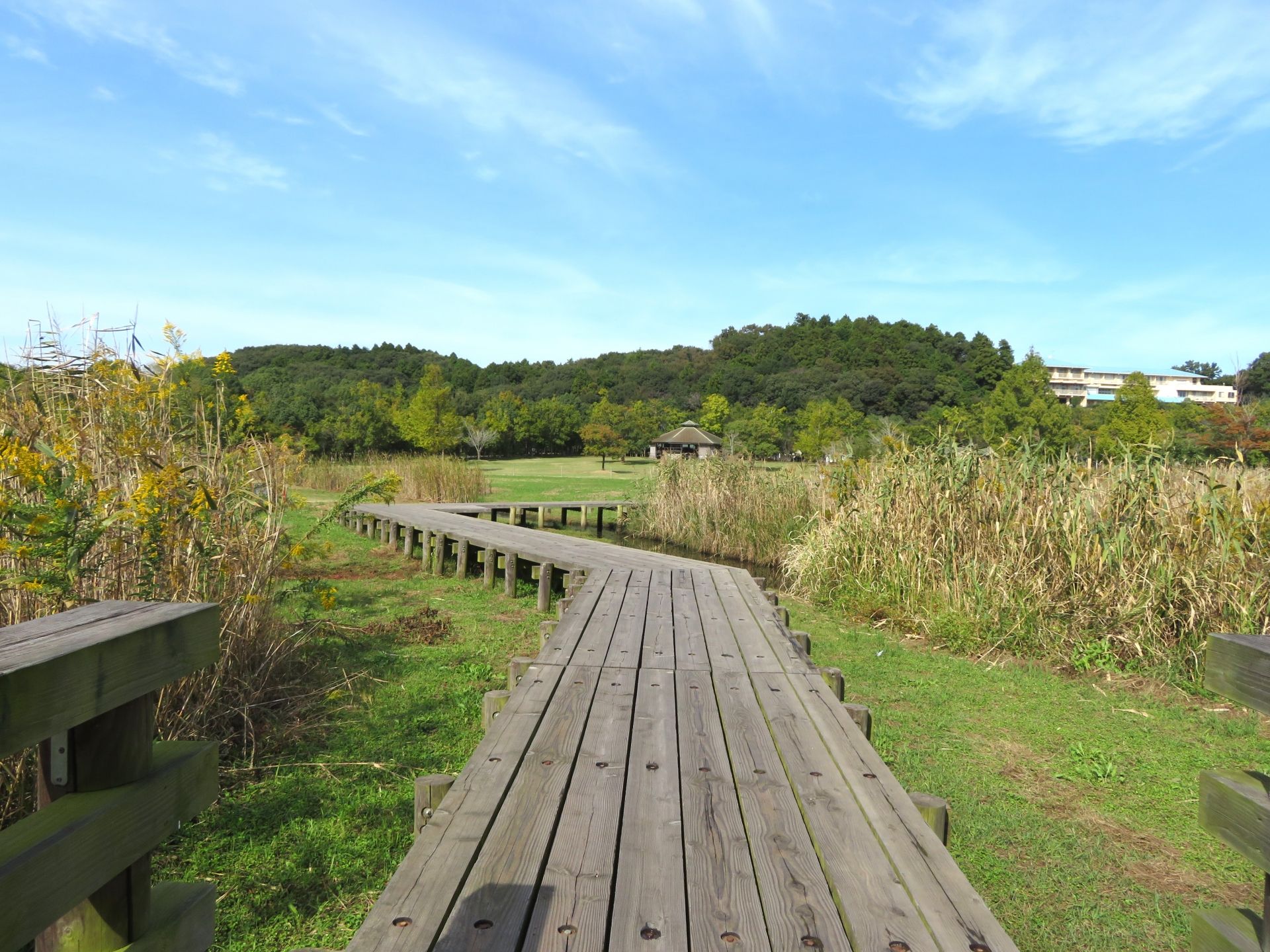 涸沼自然公園