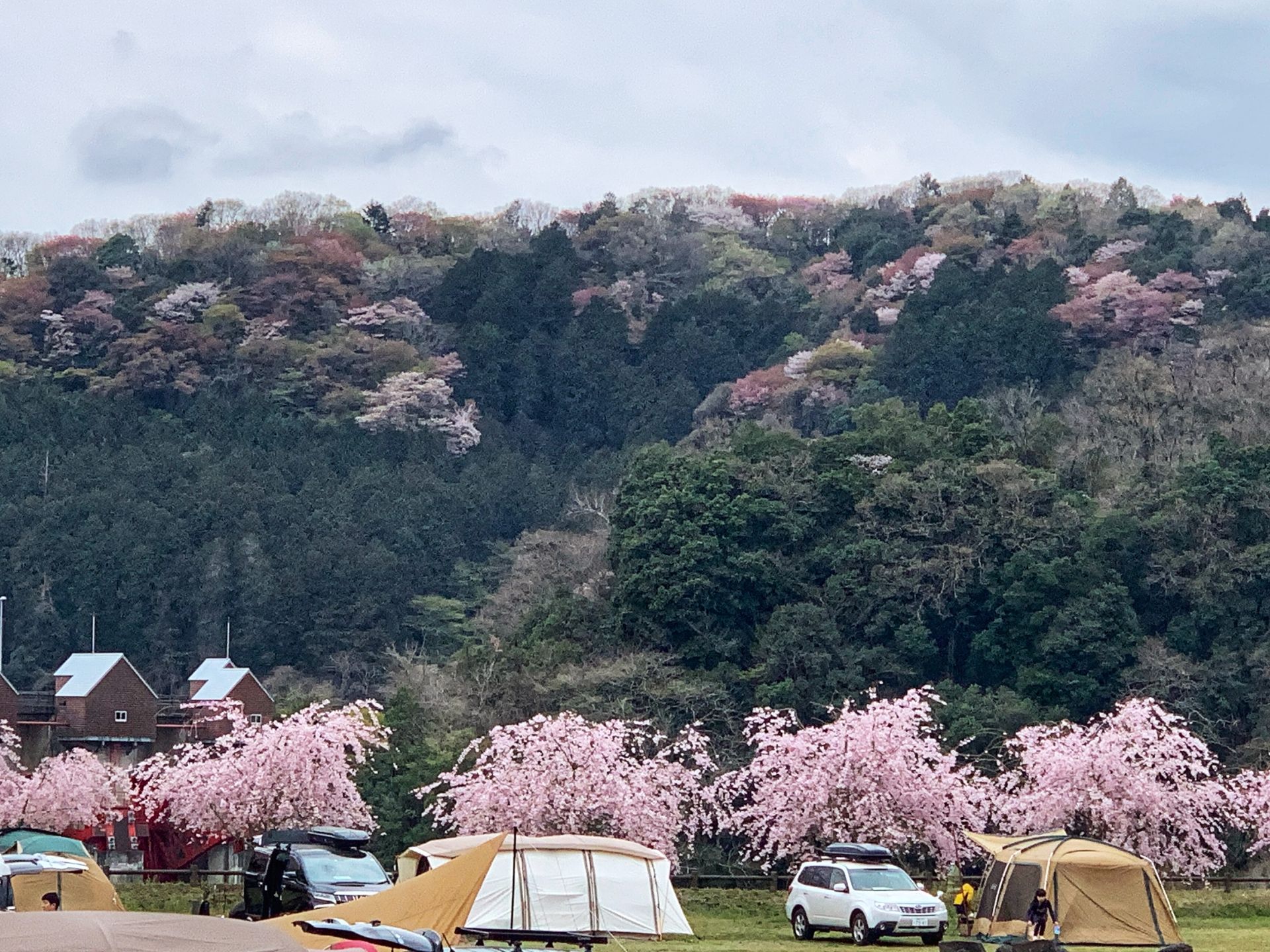 ふれあいの里のキャンプ場