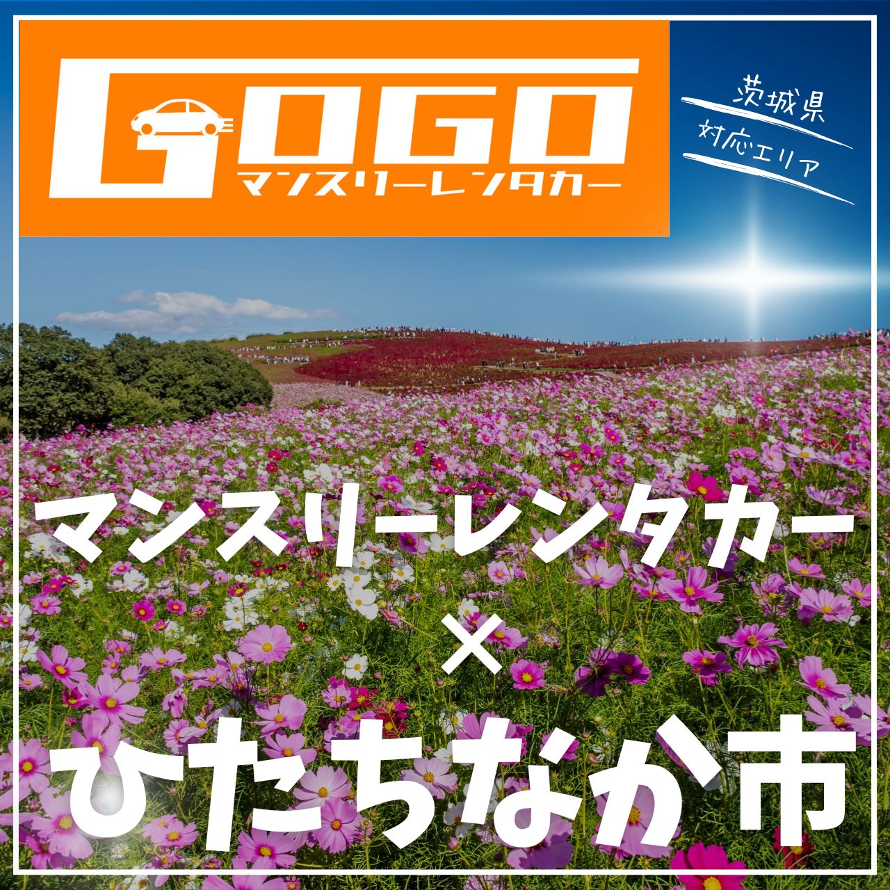 ひたちなか市のマンスリーレンタカー