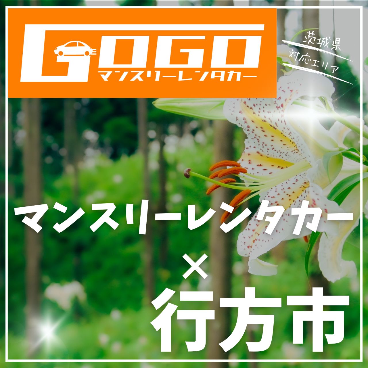 行方市のマンスリーレンタカー