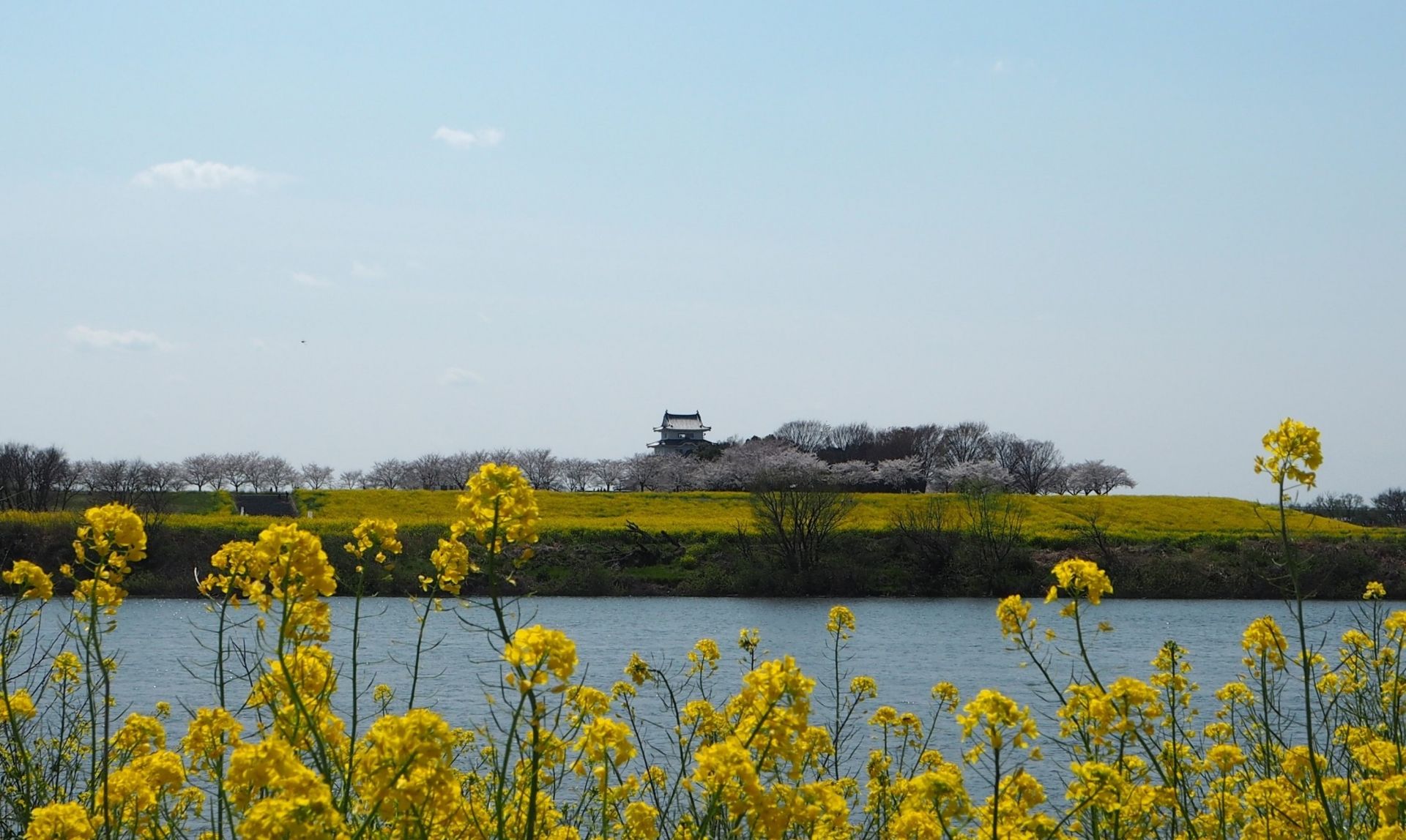 中の島公園からの風景