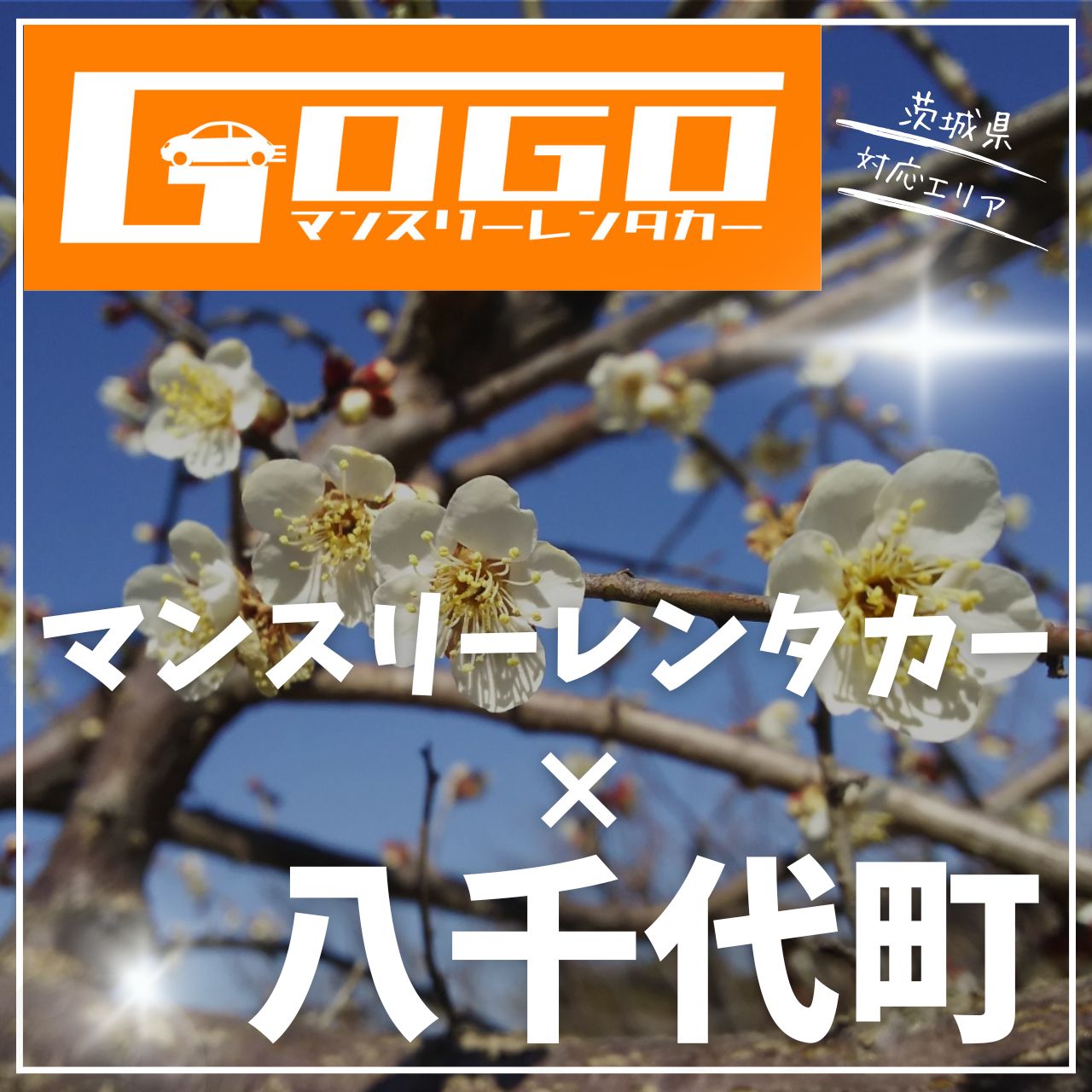 結城郡八千代町のマンスリーレンタカー