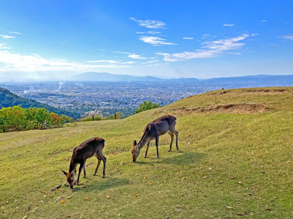 若草山