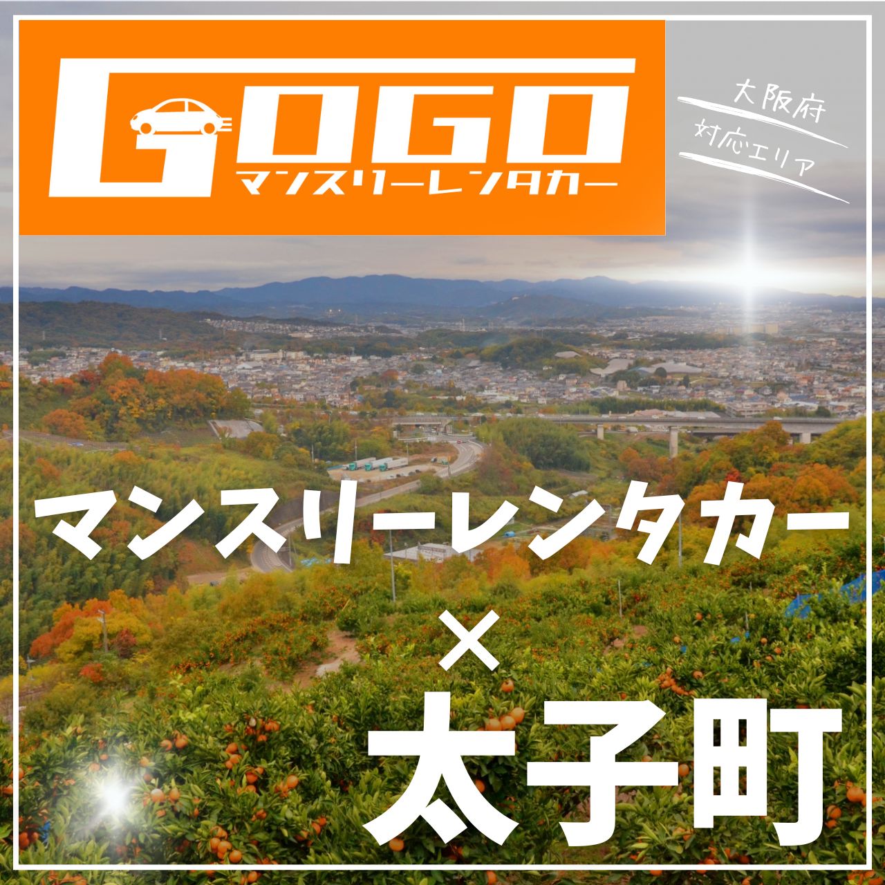 南河内郡太子町のマンスリーレンタカー