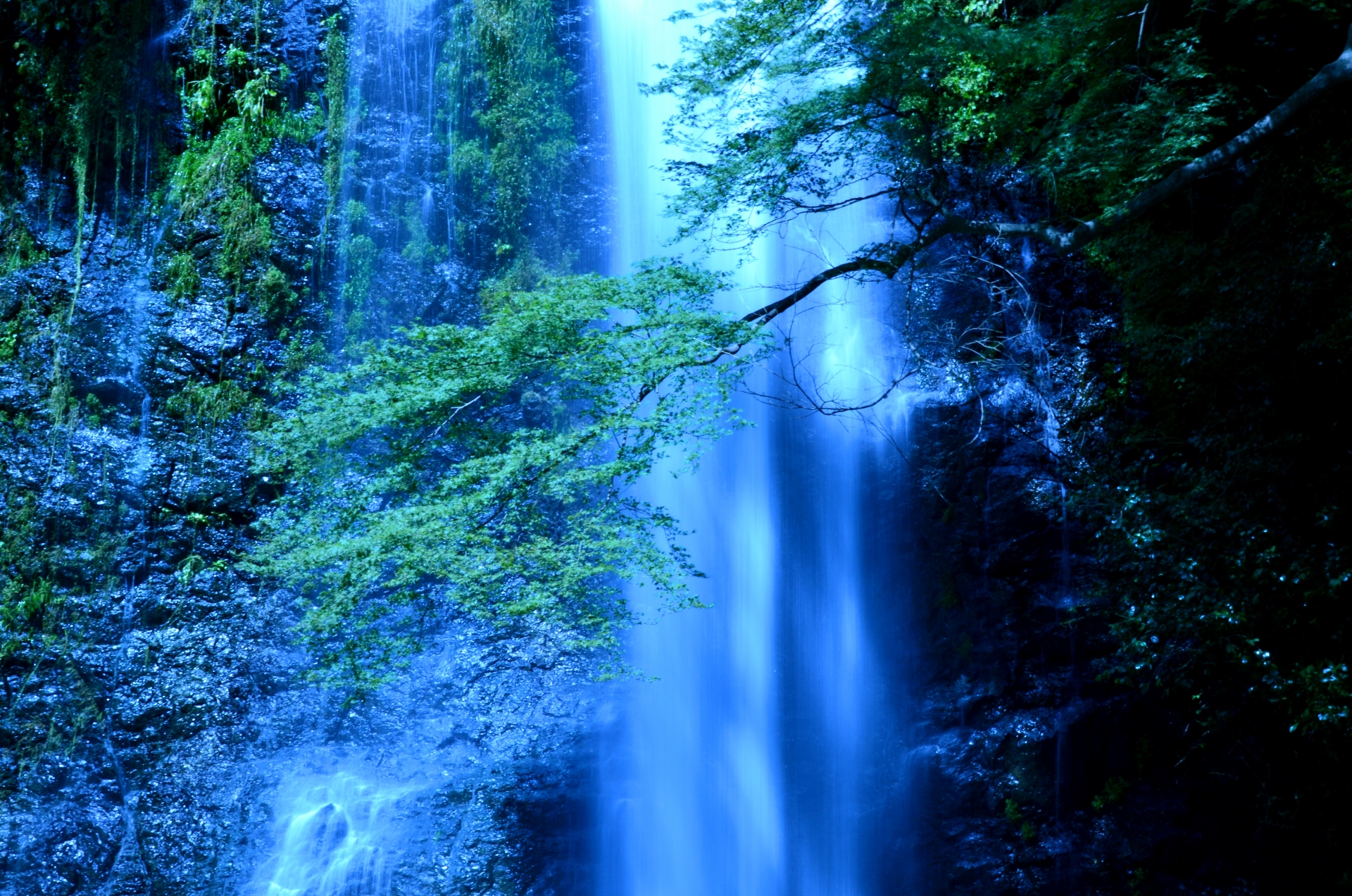 箕面大滝