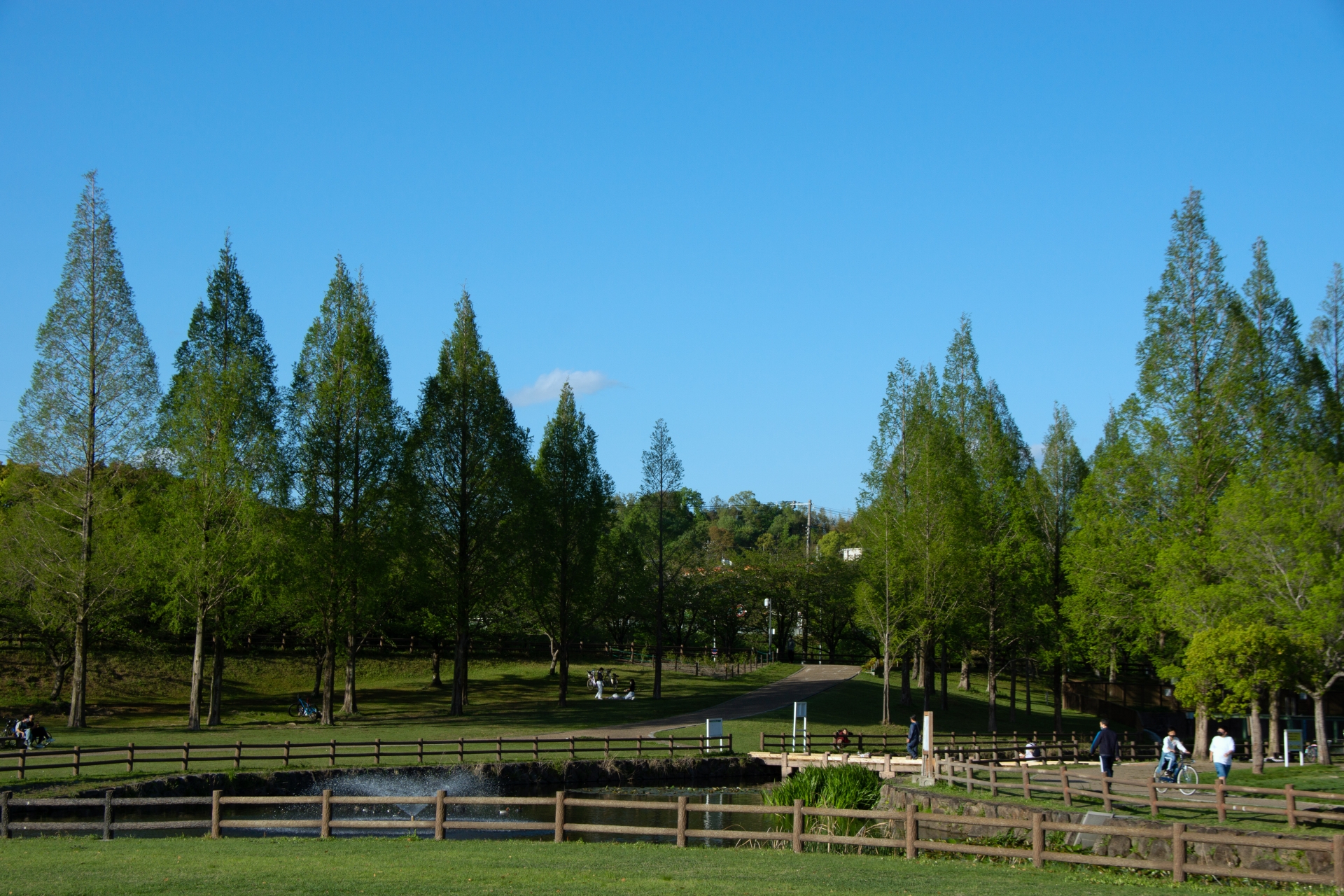 打上川治水緑地