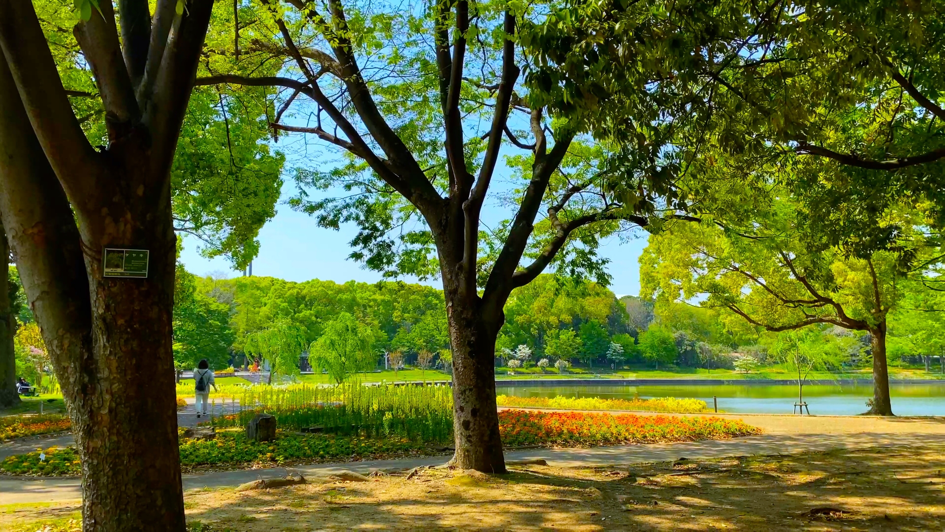 長居公園