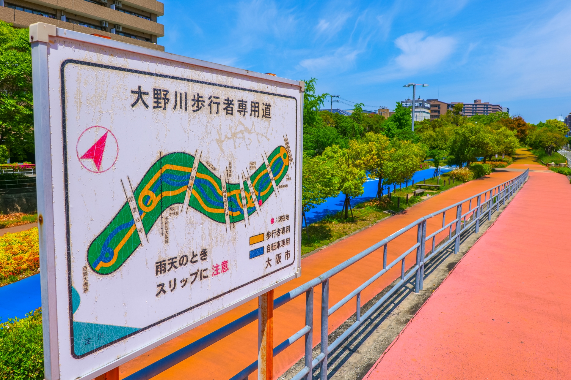 大野川緑陰道路