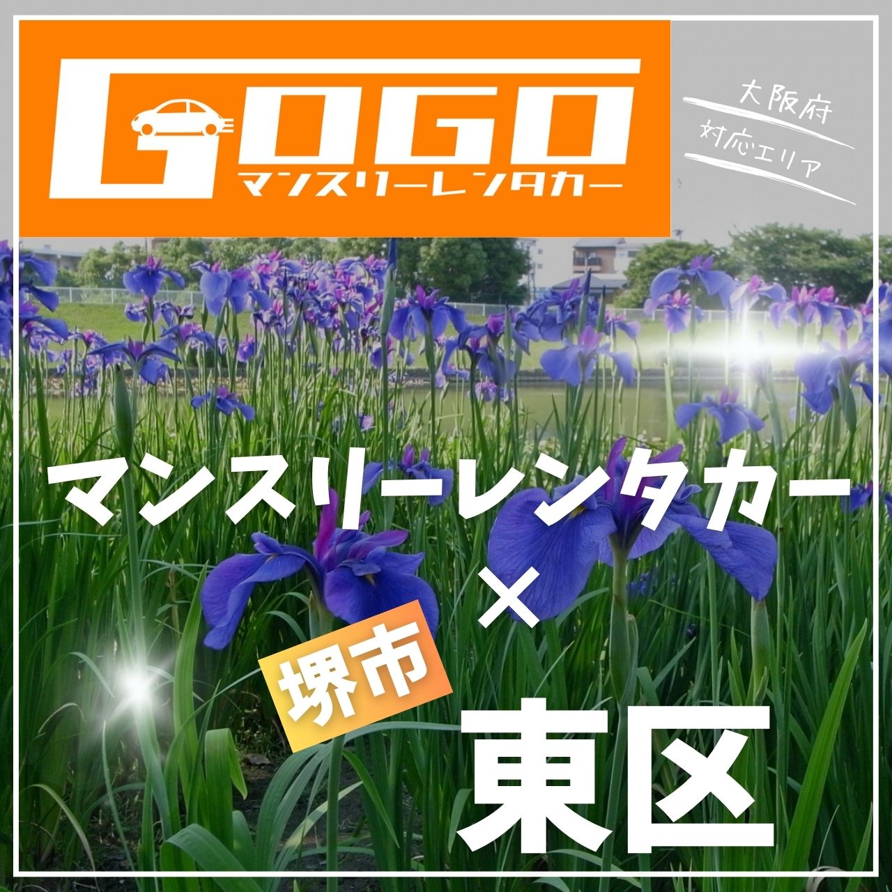 堺市東区のマンスリーレンタカー