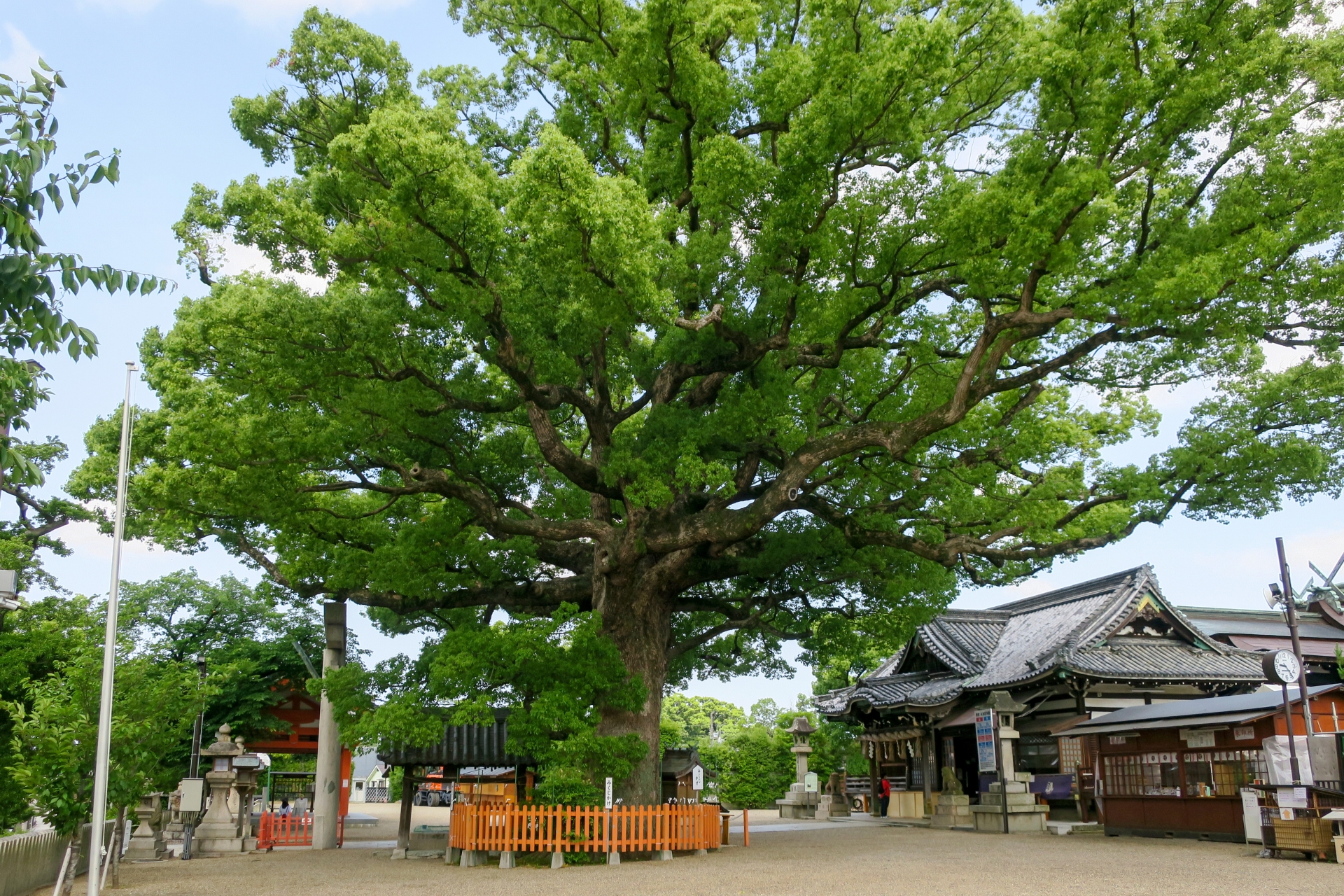 百舌鳥八幡宮