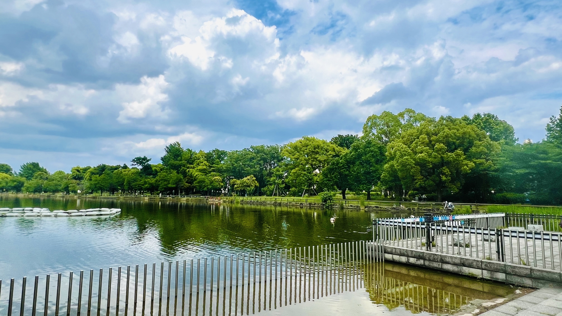 舟渡池公園1