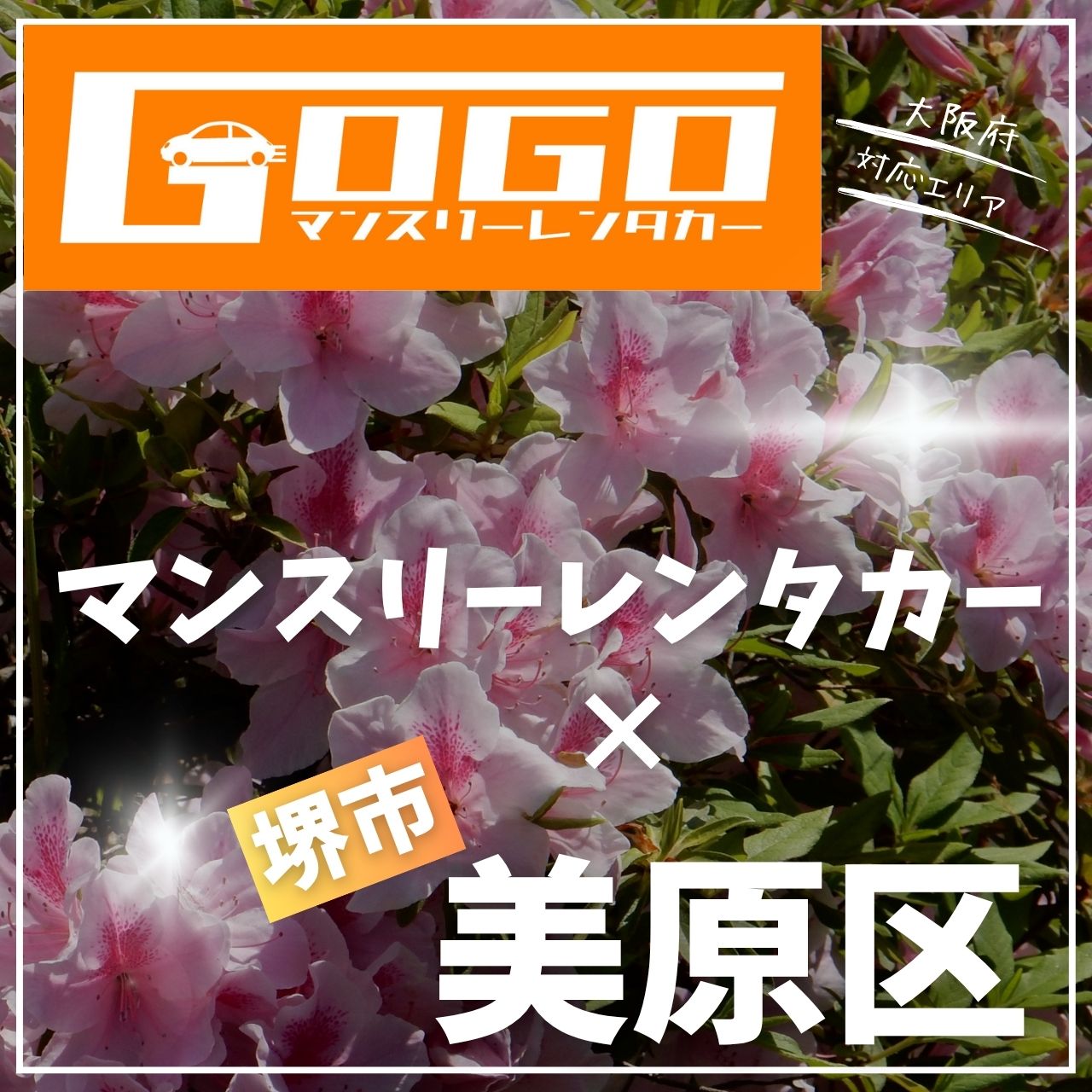 堺市美原区のマンスリーレンタカー