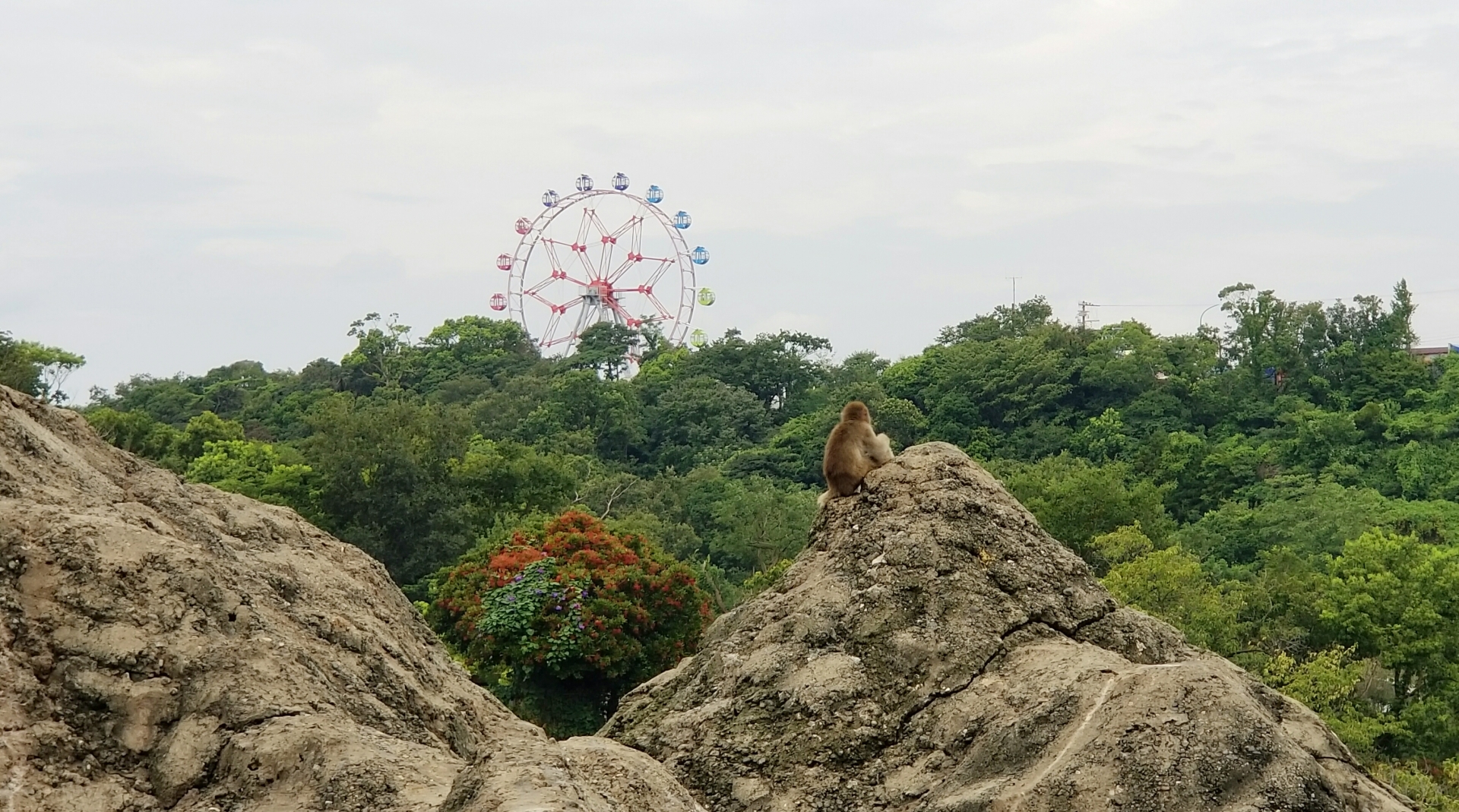 みさき公園