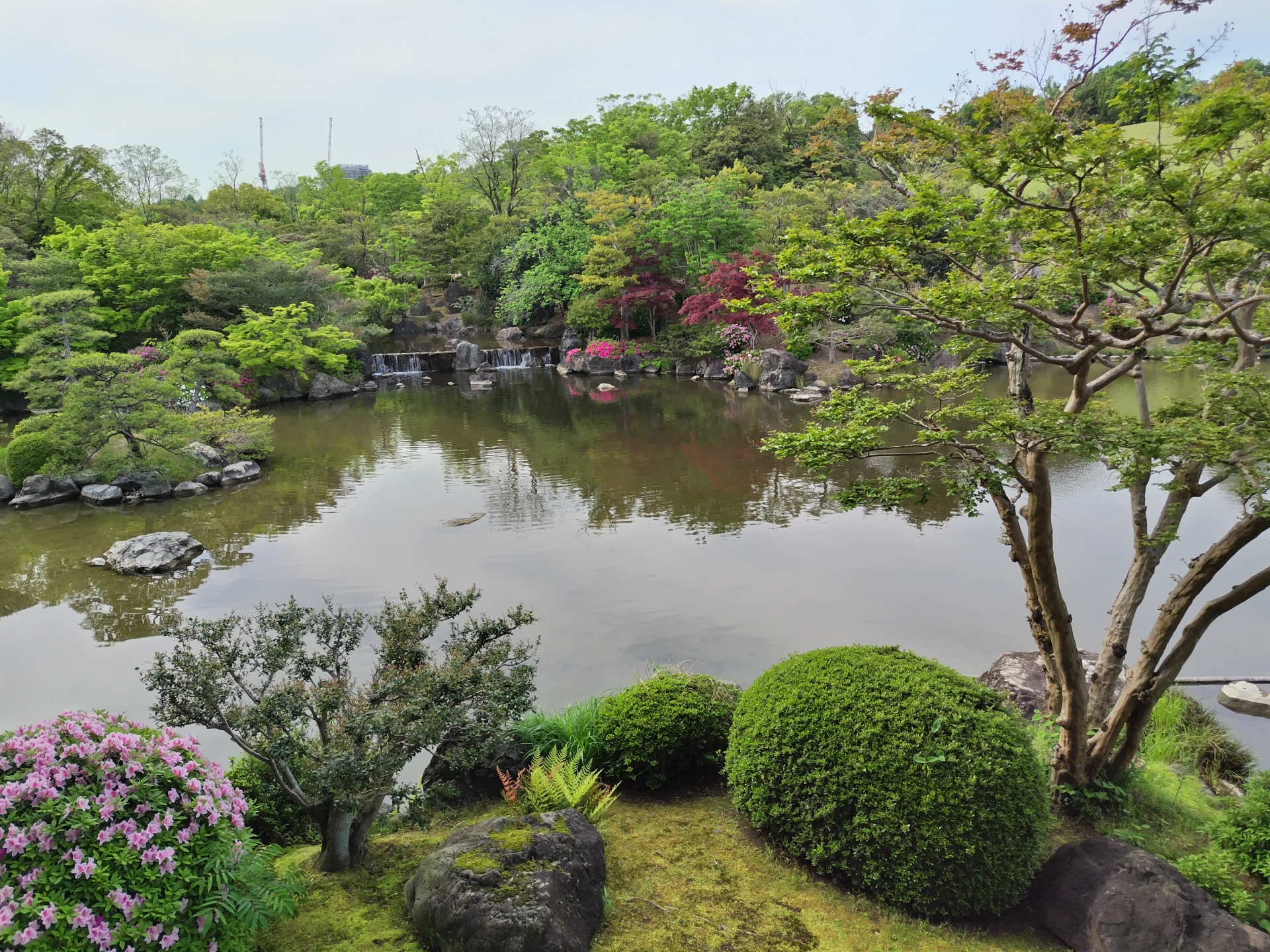 万博記念公園の日本庭園