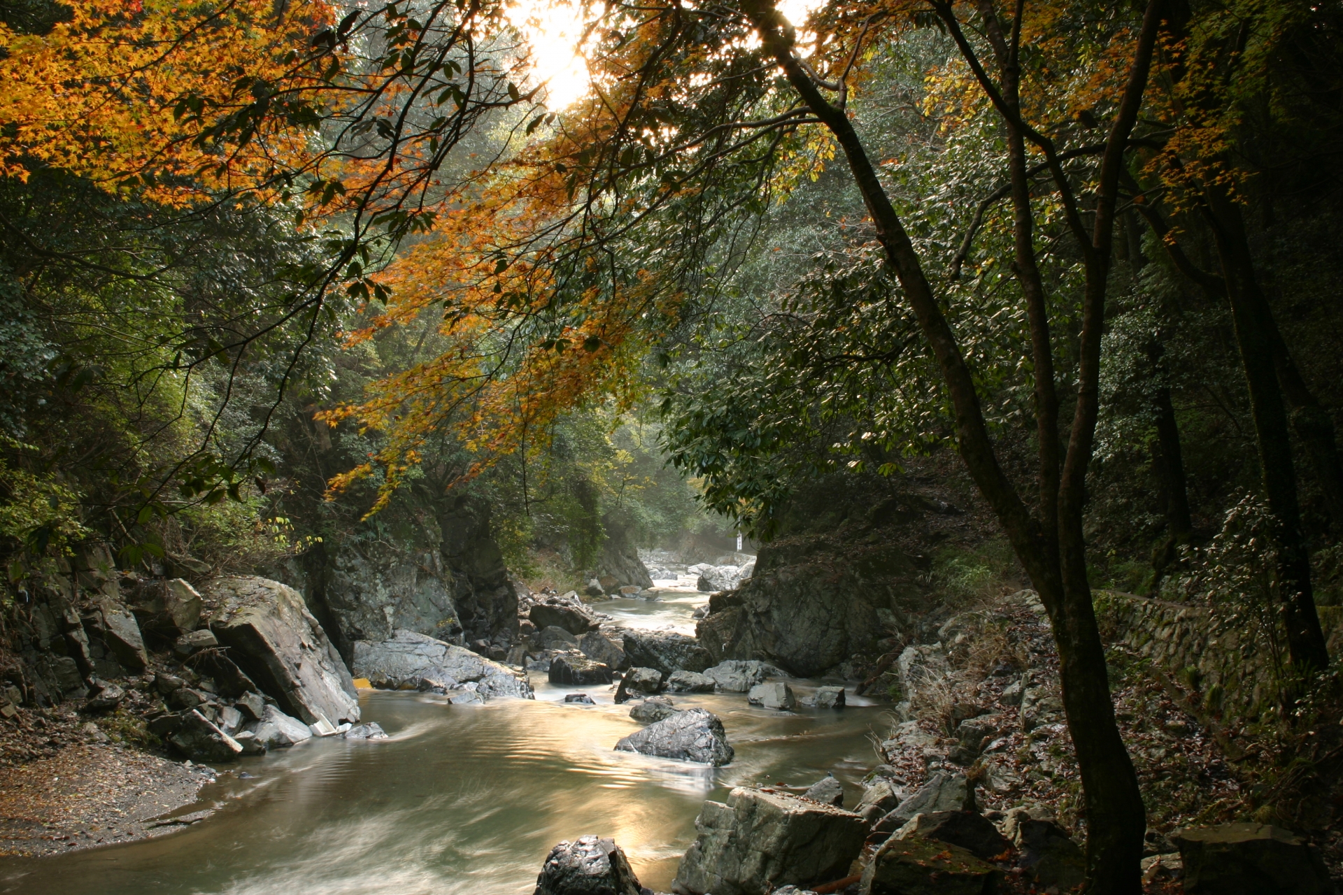 摂津峡公園