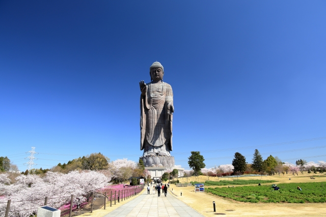 牛久大仏