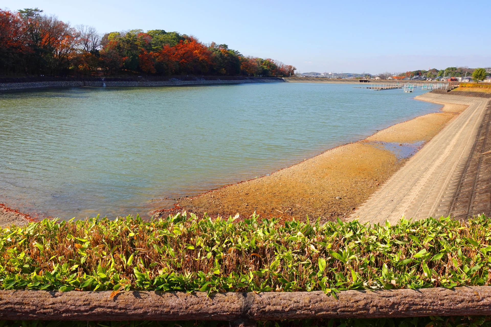保田ヶ池公園