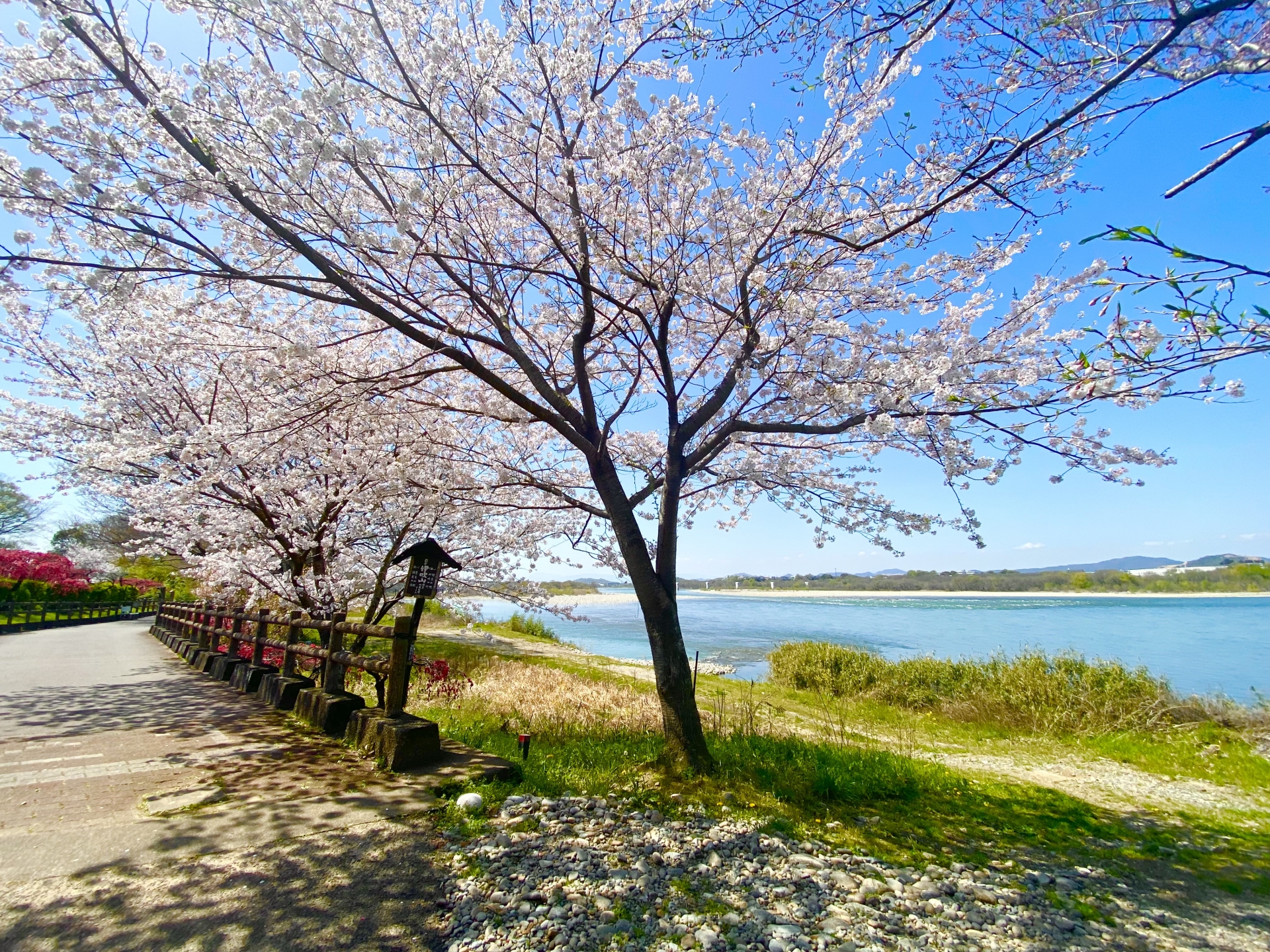 扶桑緑地公園