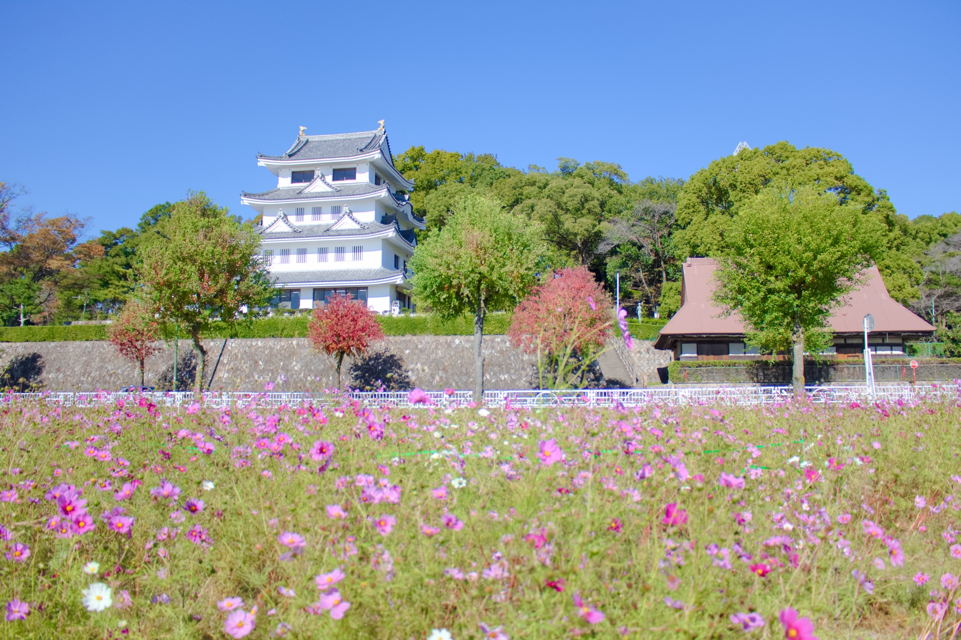 城山公園