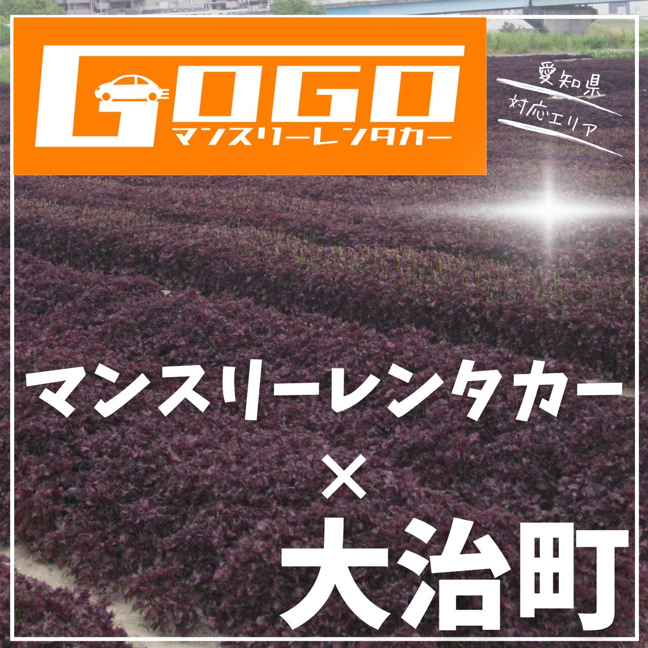 海部郡大治町のマンスリーレンタカー