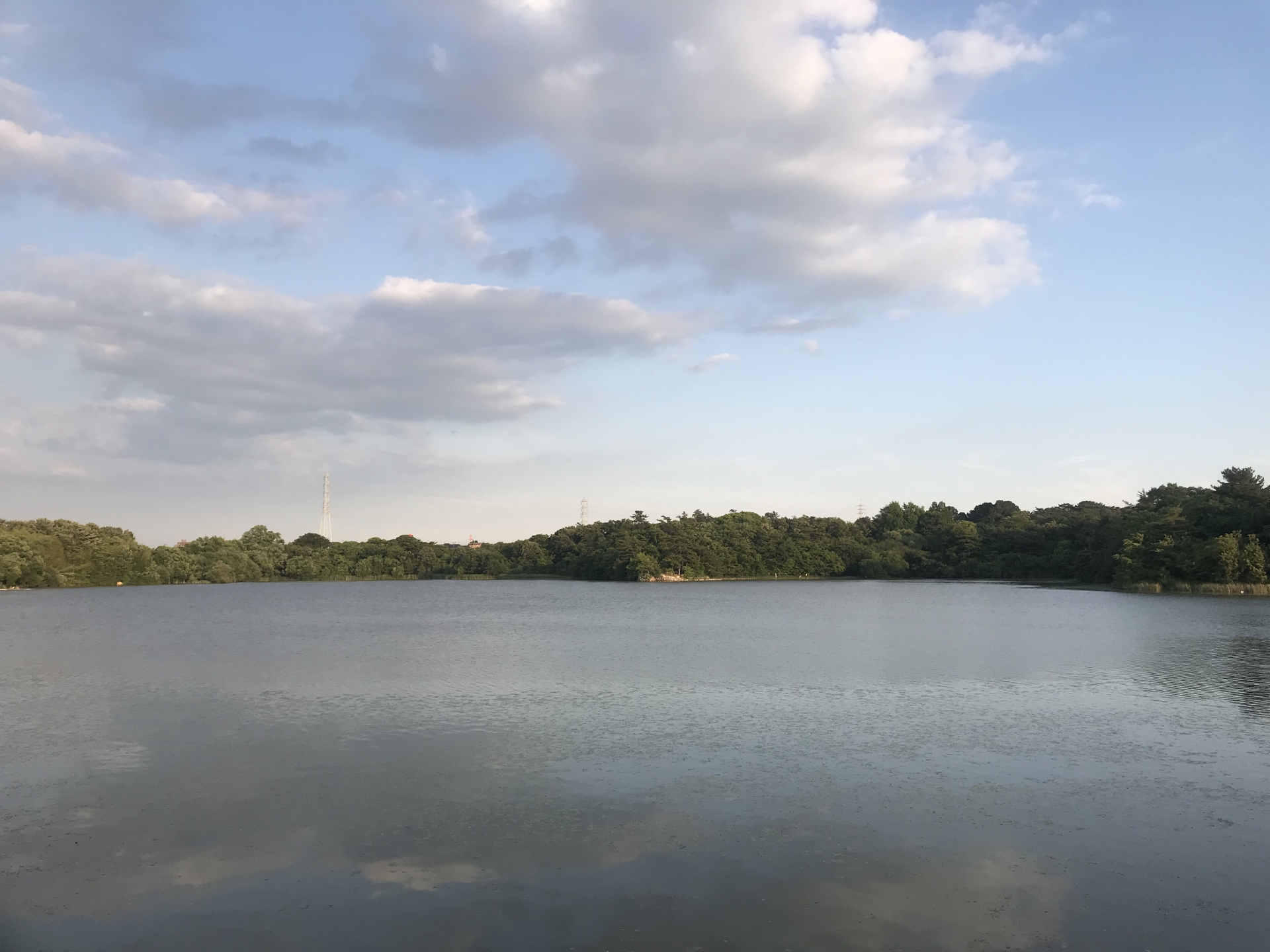 牧野ヶ池緑地