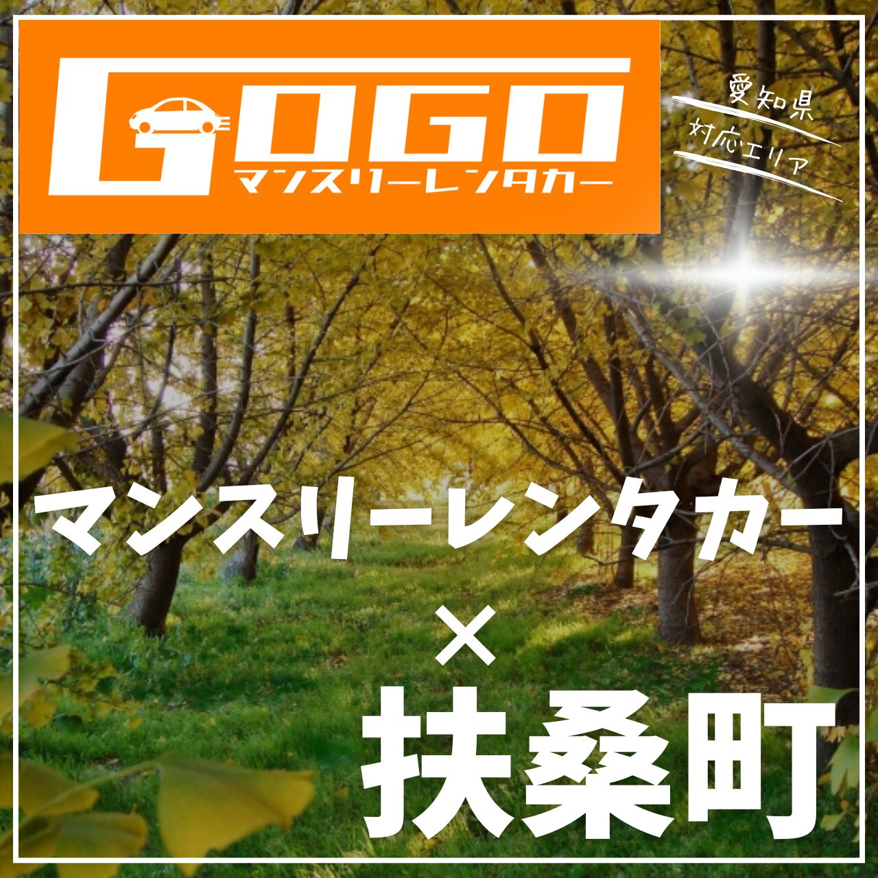 丹羽郡扶桑町のマンスリーレンタカー