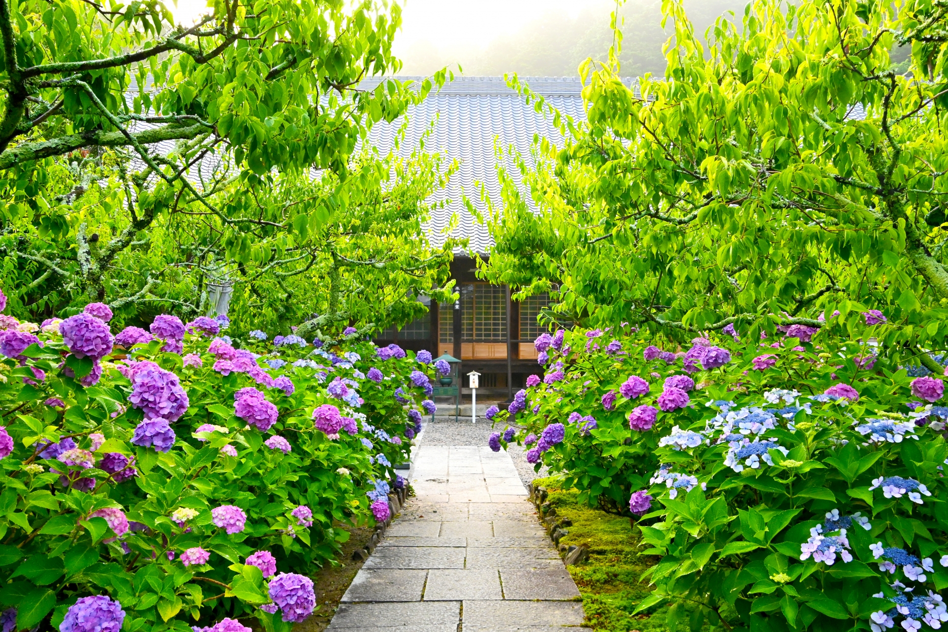 瑞雲山 本光寺