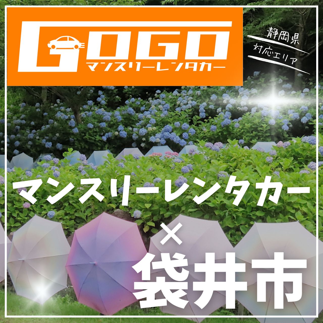 袋井市のマンスリーレンタカー