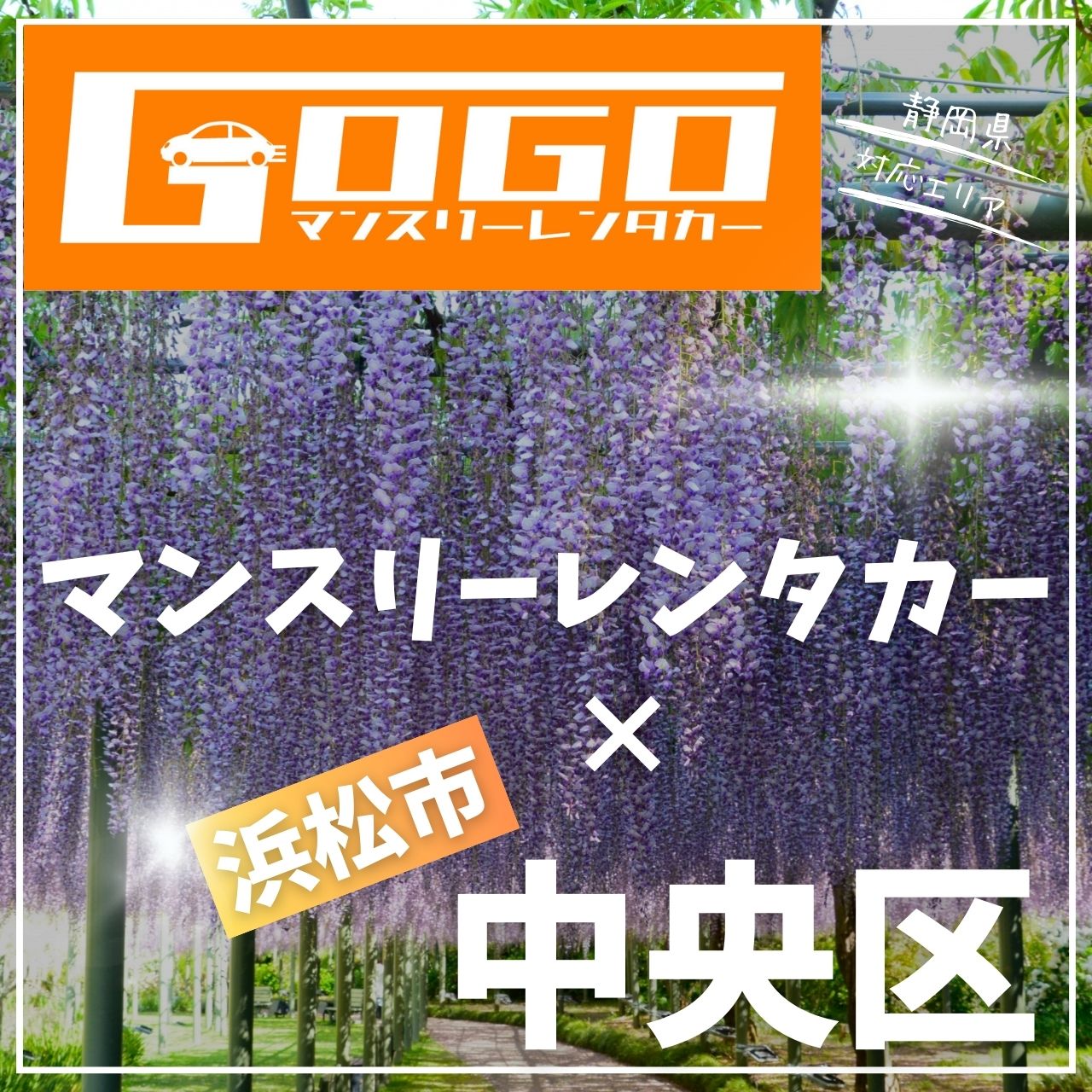 浜松市中央区のマンスリーレンタカー