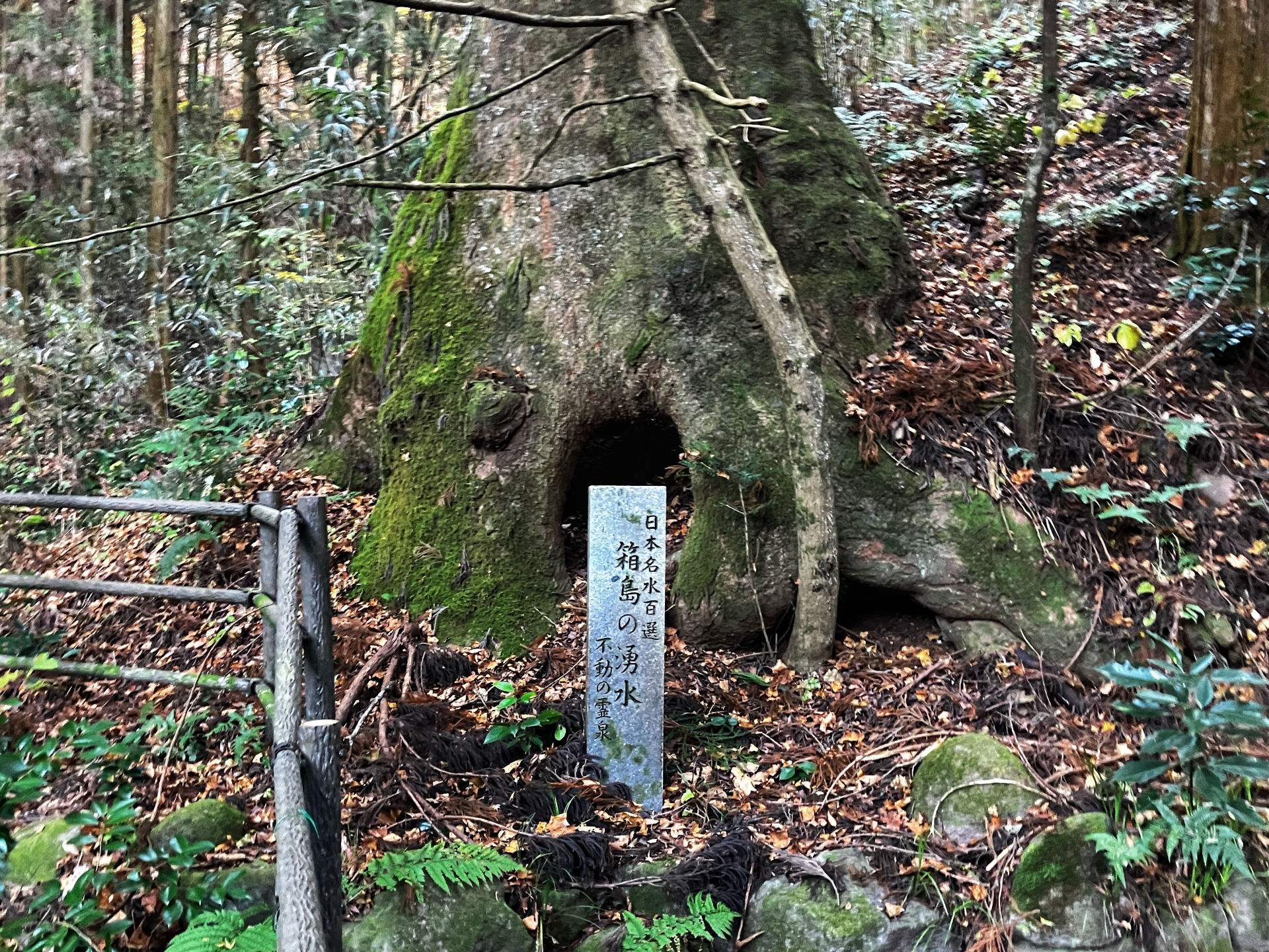 箱島湧水