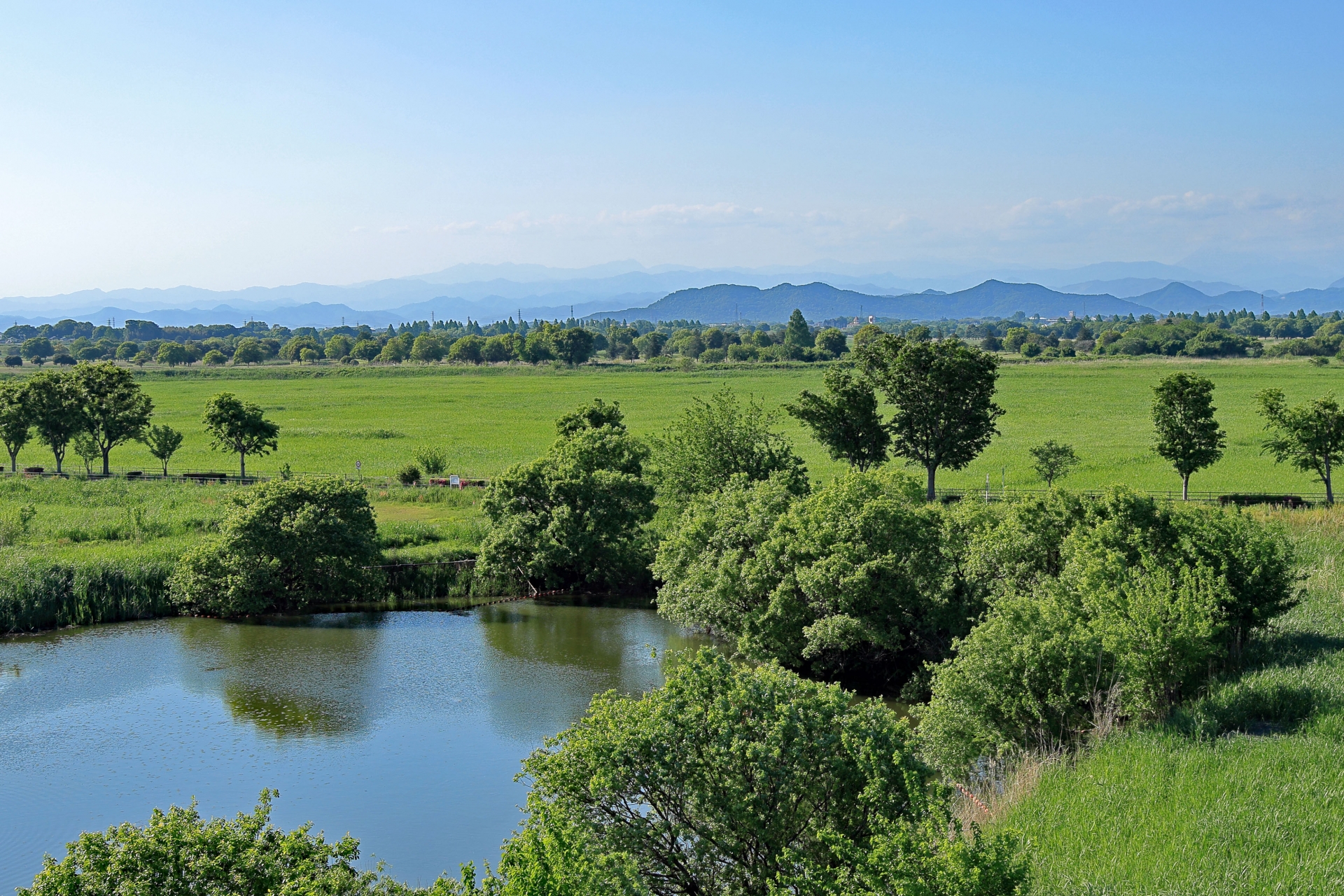 渡良瀬遊水地