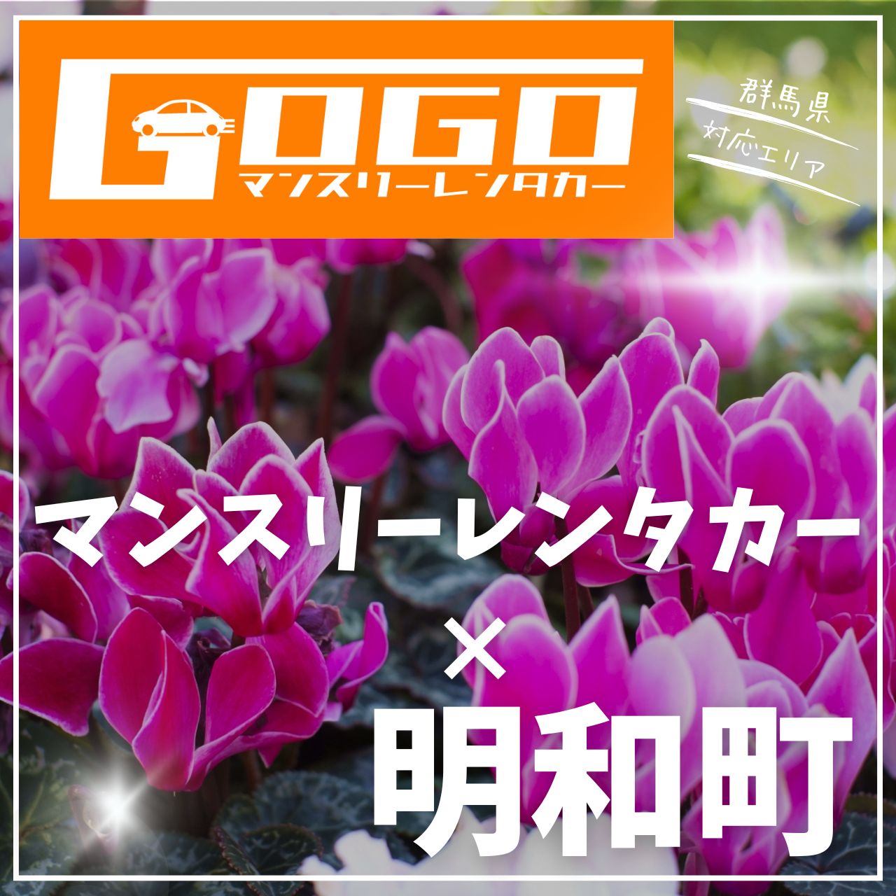 邑楽郡明和町のマンスリーレンタカー
