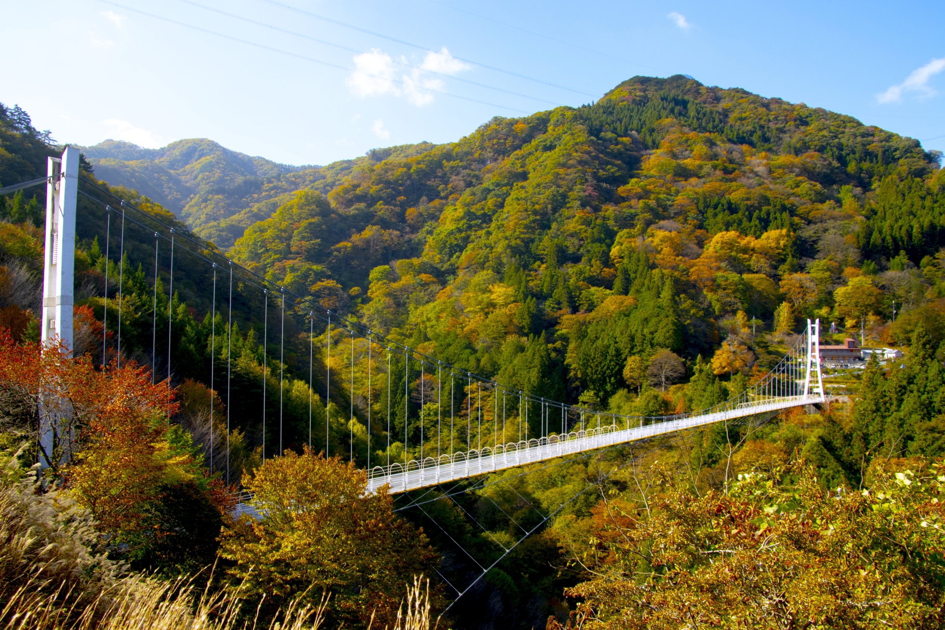 上野スカイブリッジ