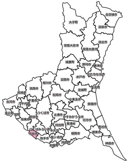 守谷市のマンスリーレンタカー